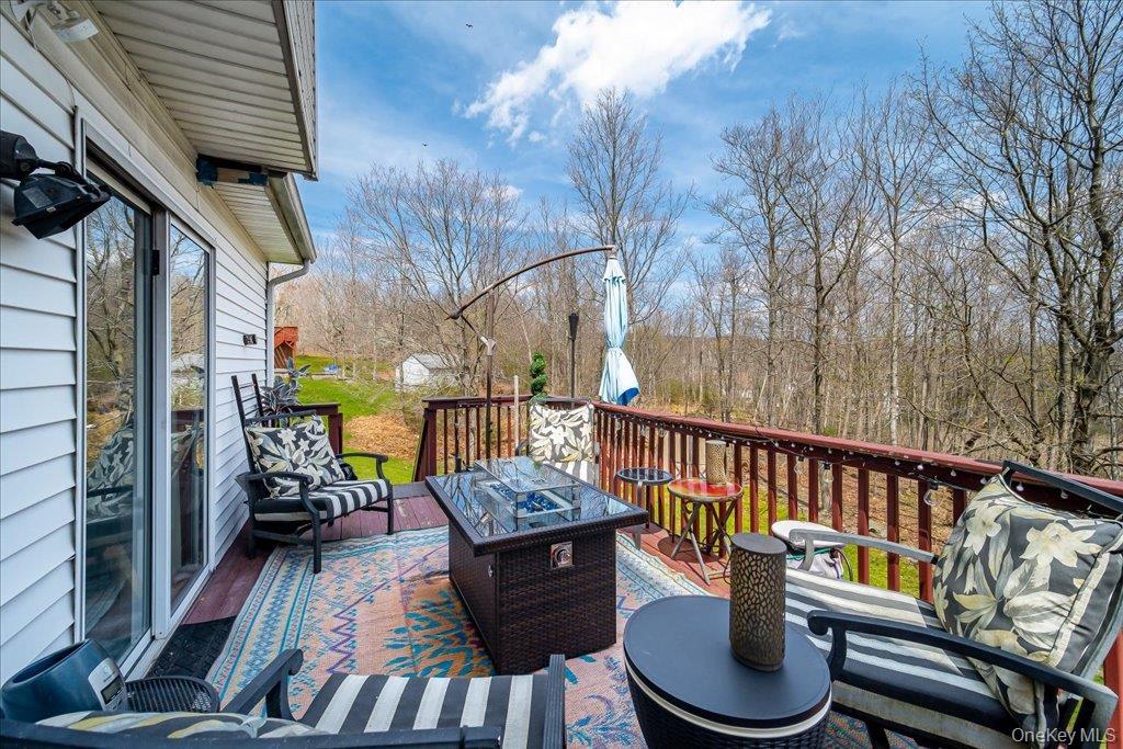 Single Family Emory  Orange County, NY 10930, MLS-960068-36