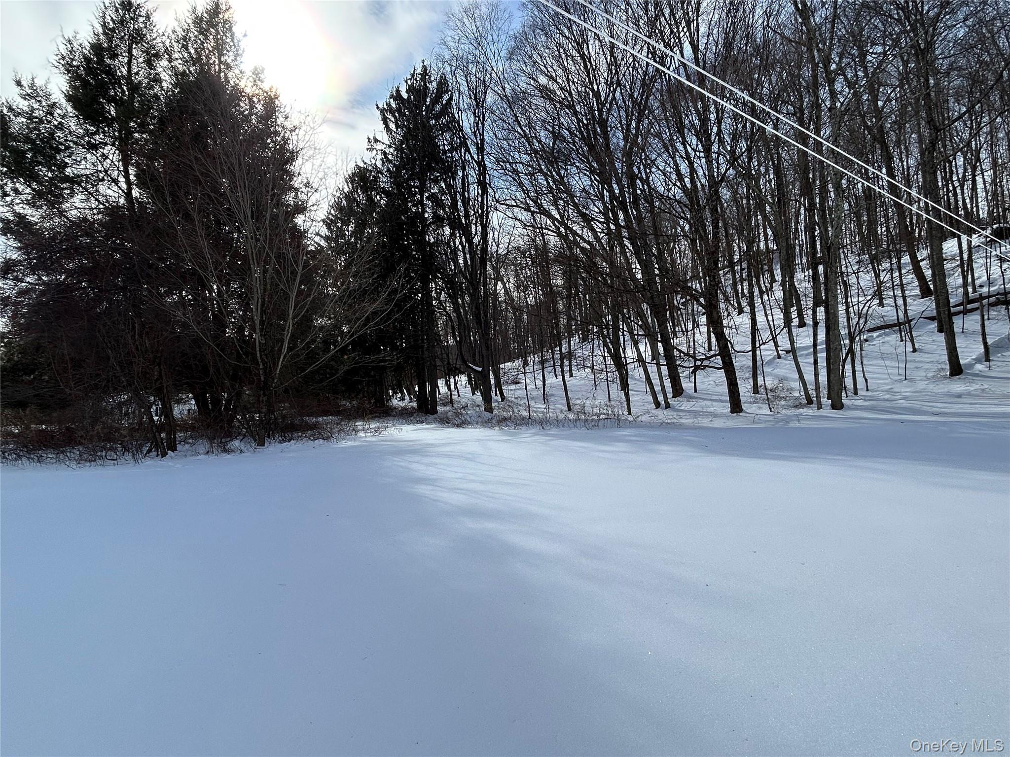 Single Family Dog Tail Corners  Dutchess County, NY 12594, MLS-960070-15