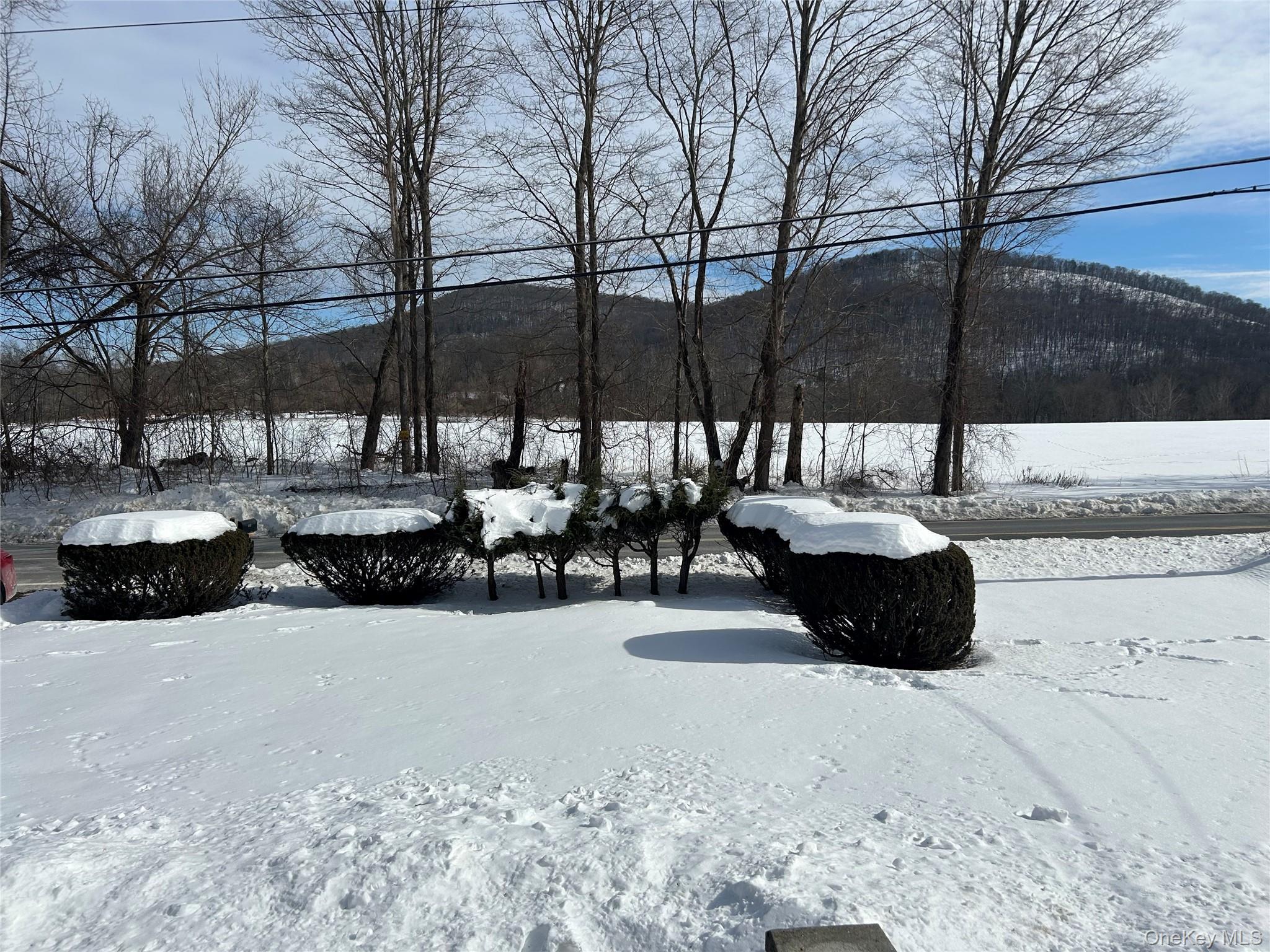 Single Family Dog Tail Corners  Dutchess County, NY 12594, MLS-960070-19