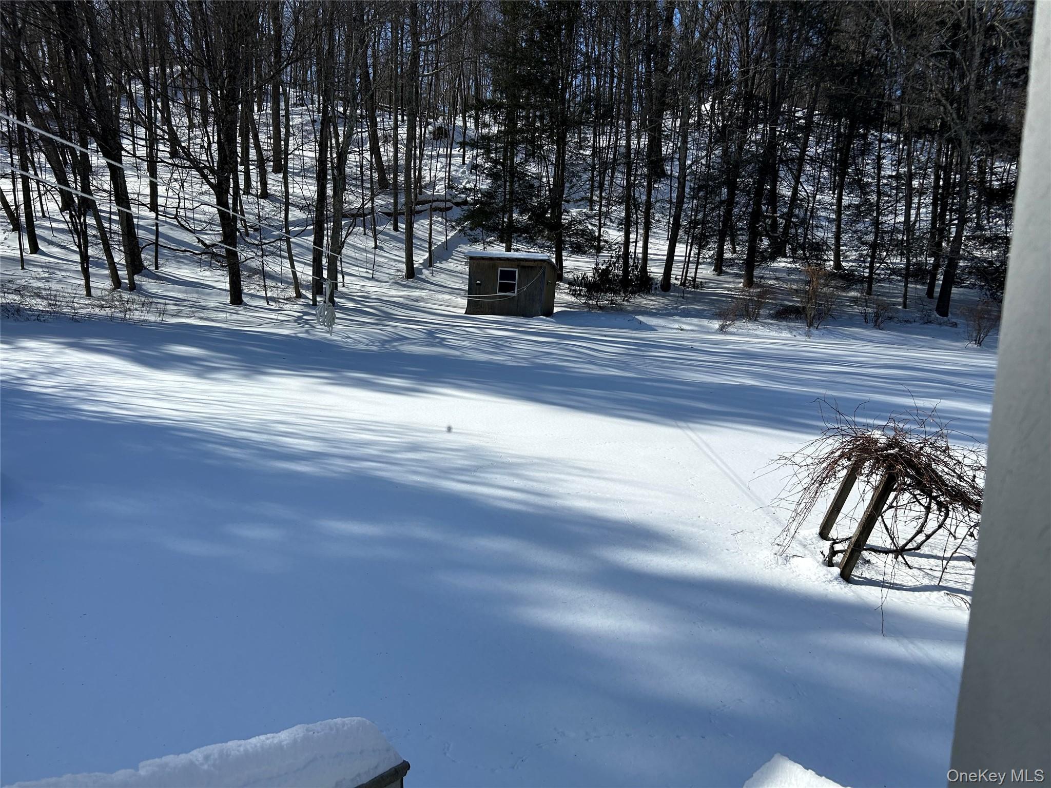 Single Family Dog Tail Corners  Dutchess County, NY 12594, MLS-960070-27