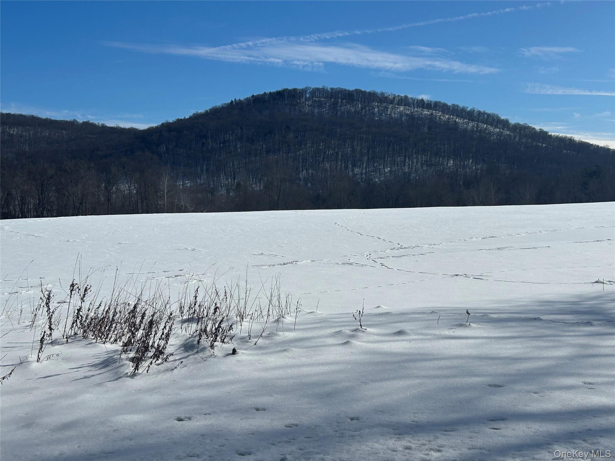 Single Family Dog Tail Corners  Dutchess County, NY 12594, MLS-960070-5