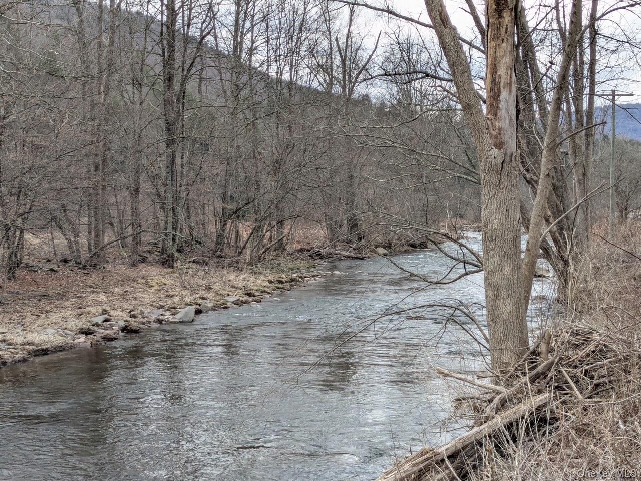 Single Family State Highway 28 Delaware County, NY 12455, MLS-960128-29