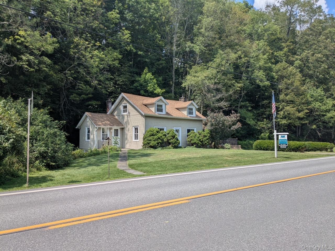 Single Family State Highway 28 Delaware County, NY 12455, MLS-960128-4