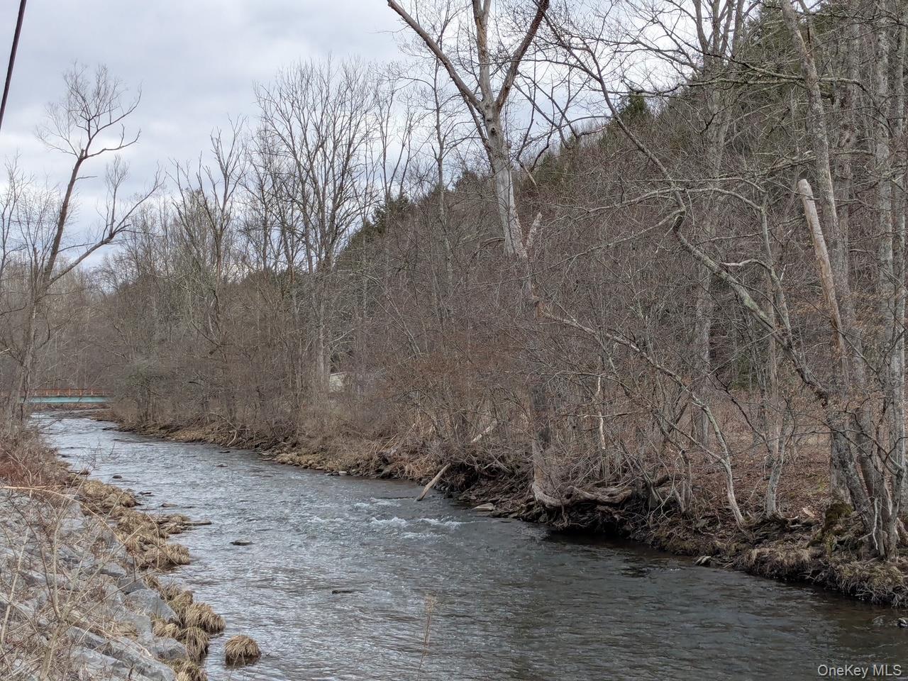 Single Family State Highway 28 Delaware County, NY 12455, MLS-960128-40