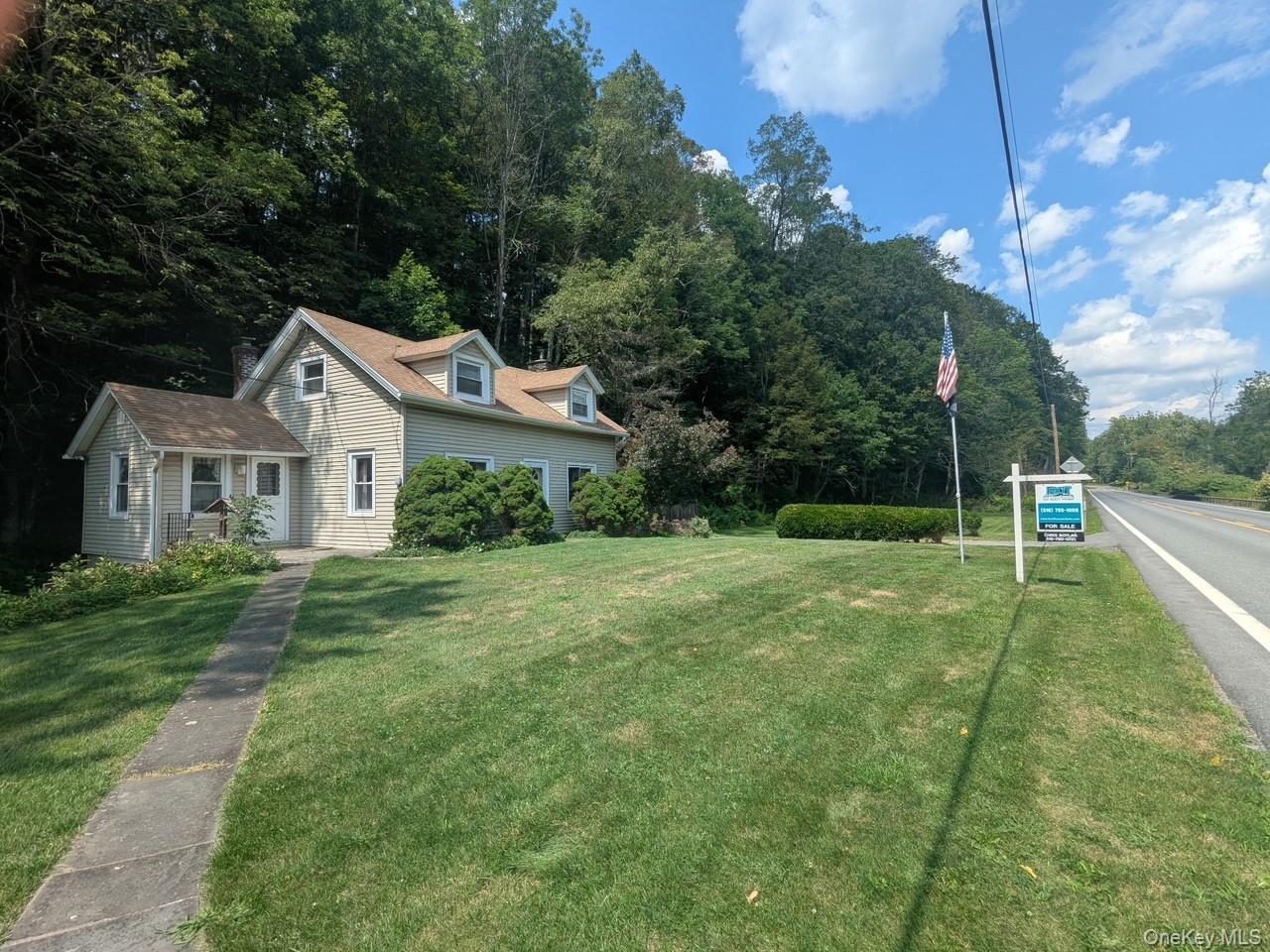 Single Family State Highway 28 Delaware County, NY 12455, MLS-960128-8