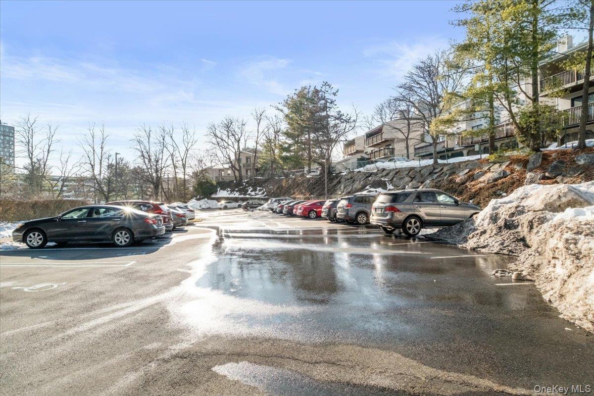 Condo Rockledge Westchester County, NY 10601, MLS-960153-39