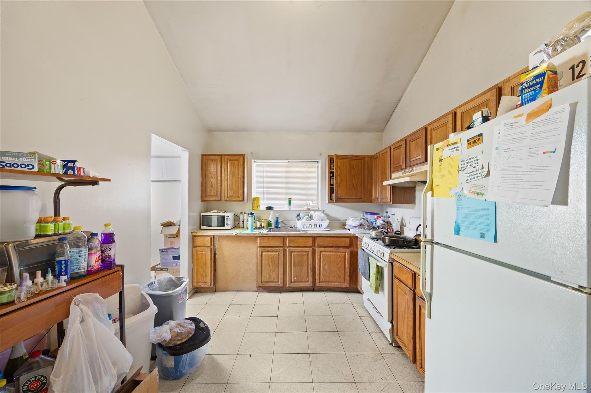 Single Family Burke  Bronx, NY 10469, MLS-960241-29