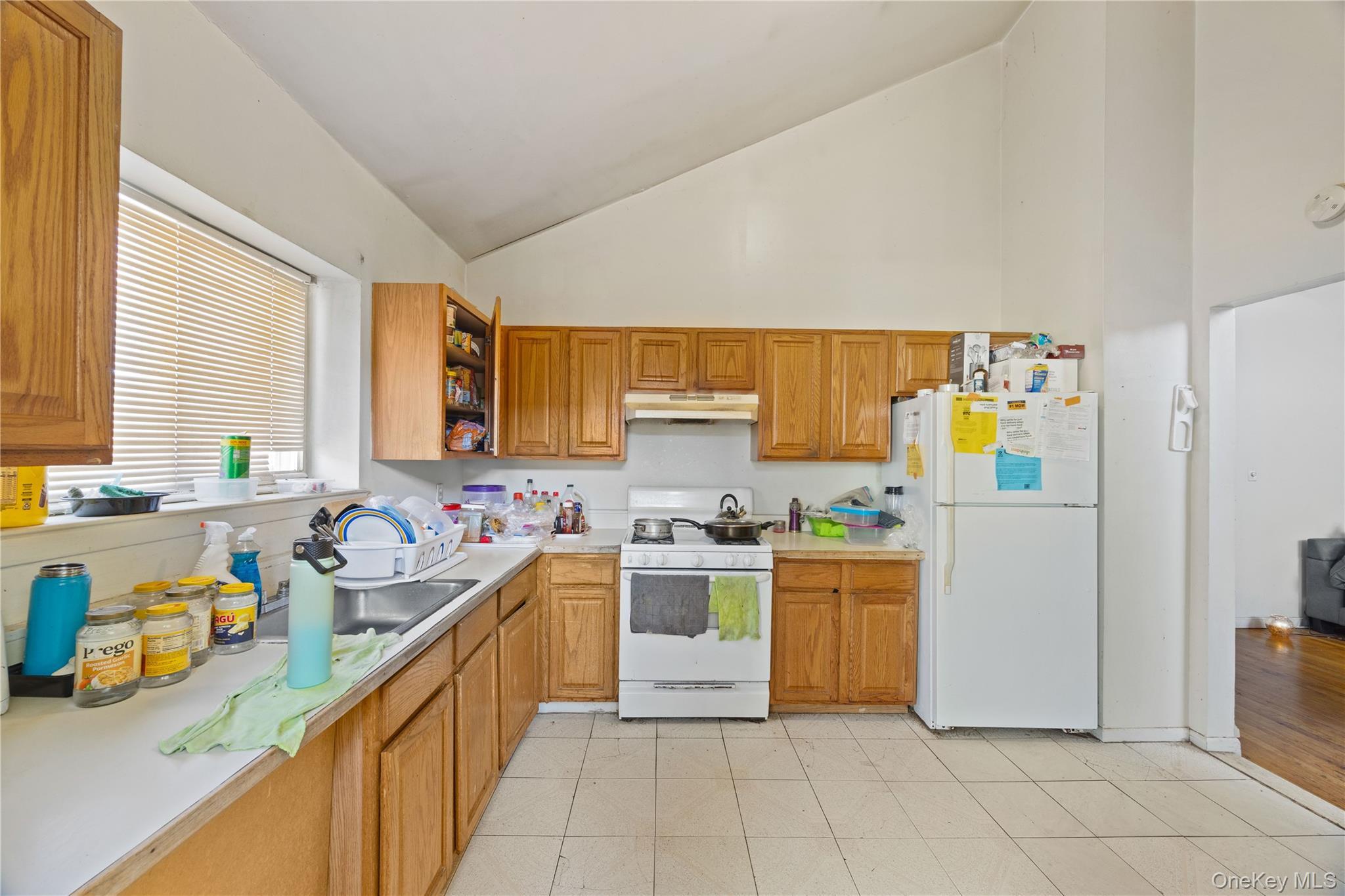 Single Family Burke  Bronx, NY 10469, MLS-960241-30