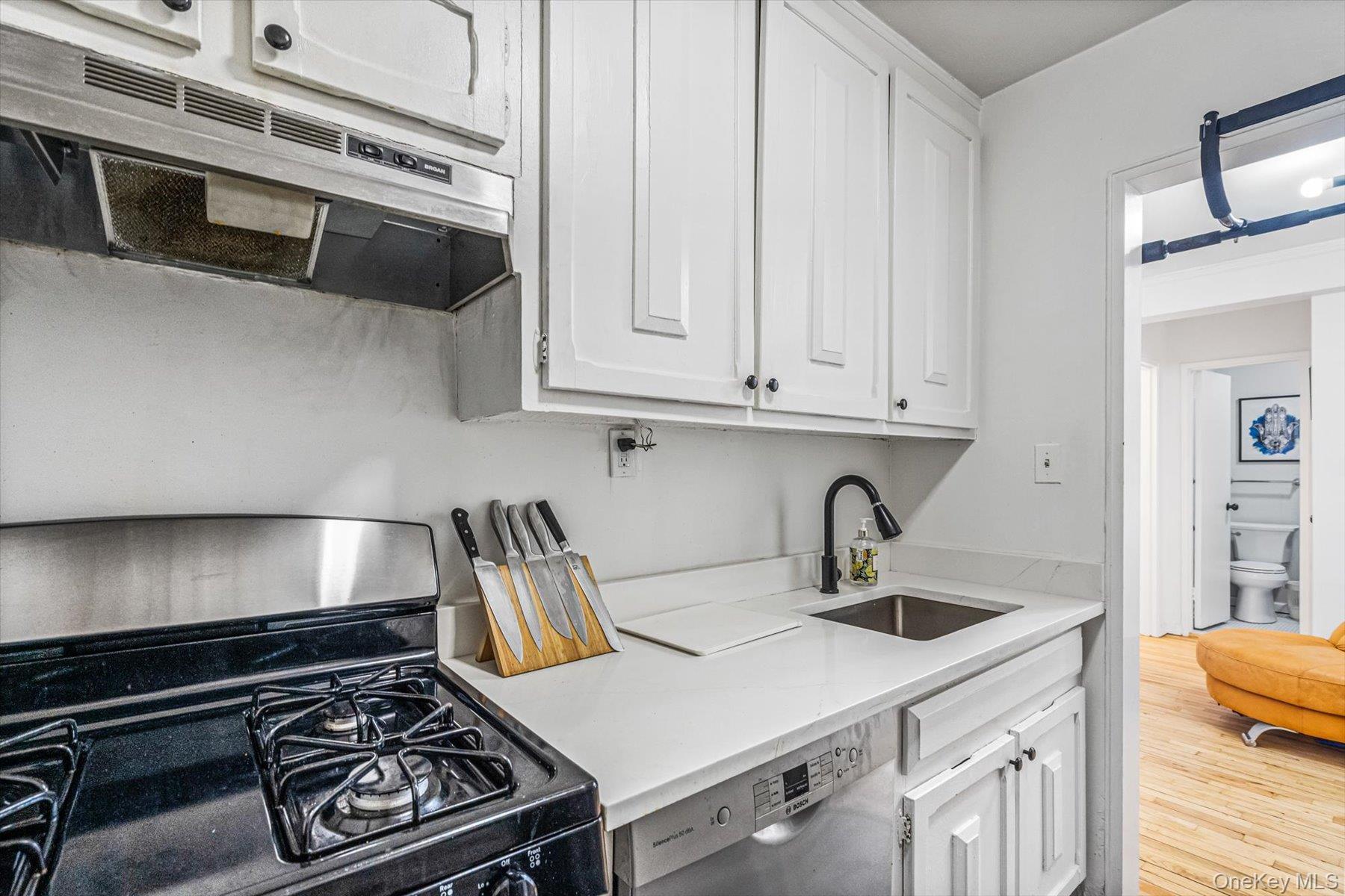 Coop Shore  Nassau County, NY 11561, MLS-960266-12