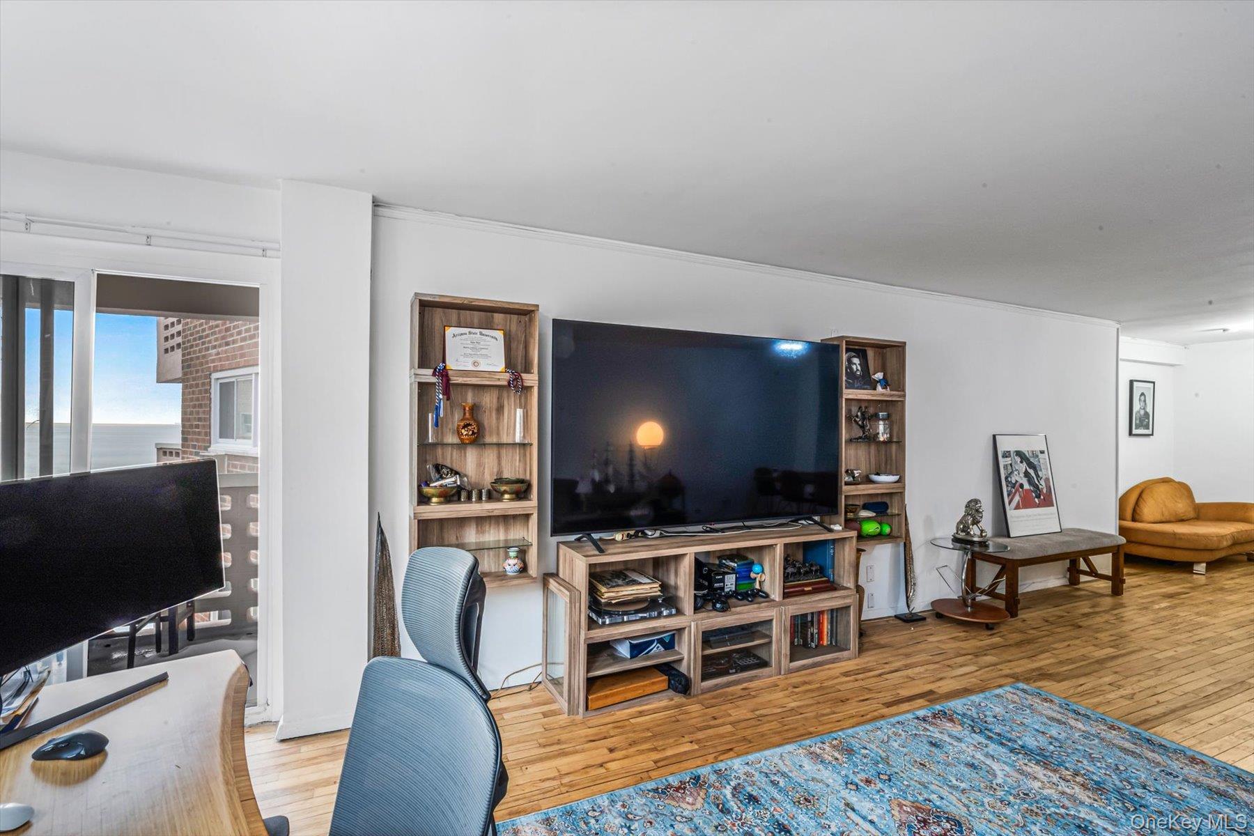 Coop Shore  Nassau County, NY 11561, MLS-960266-6