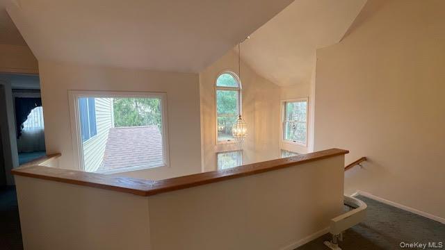 Condo Willow Ridge Suffolk County, NY 11787, MLS-960338-38