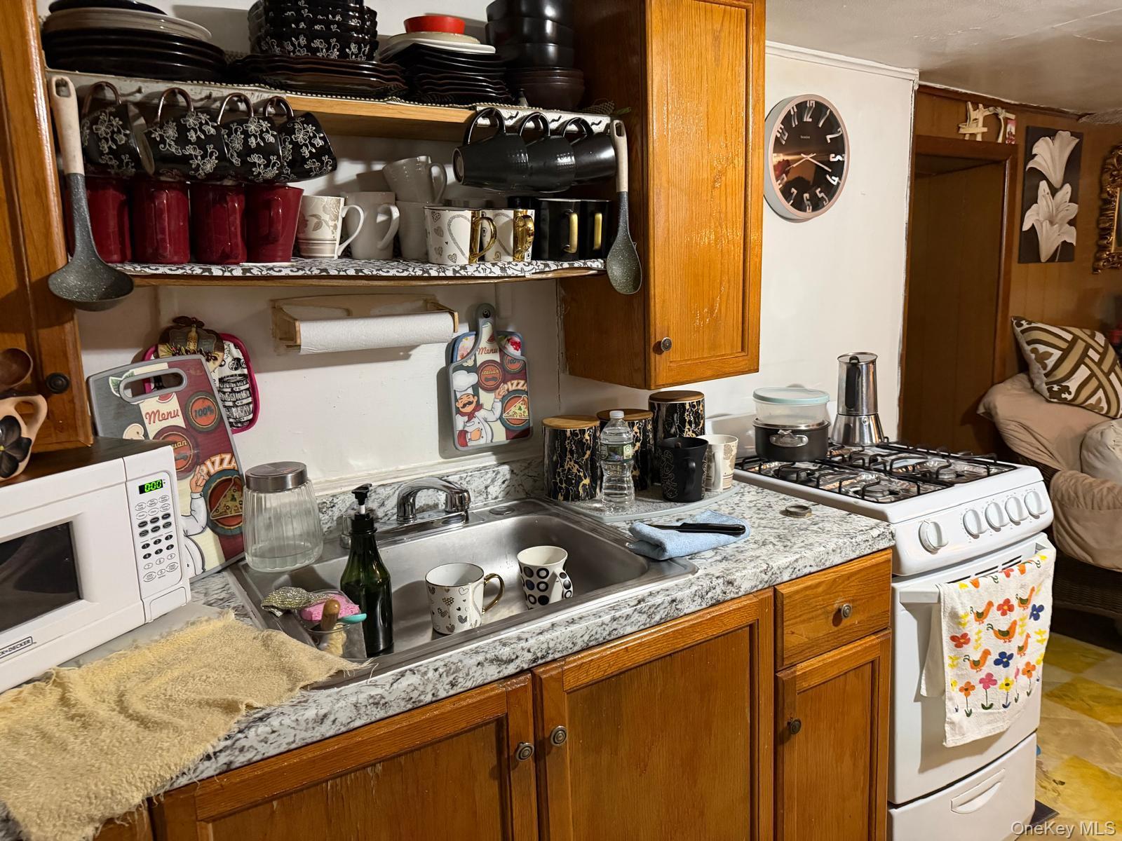 Single Family 47th  Queens, NY 11368, MLS-960349-21