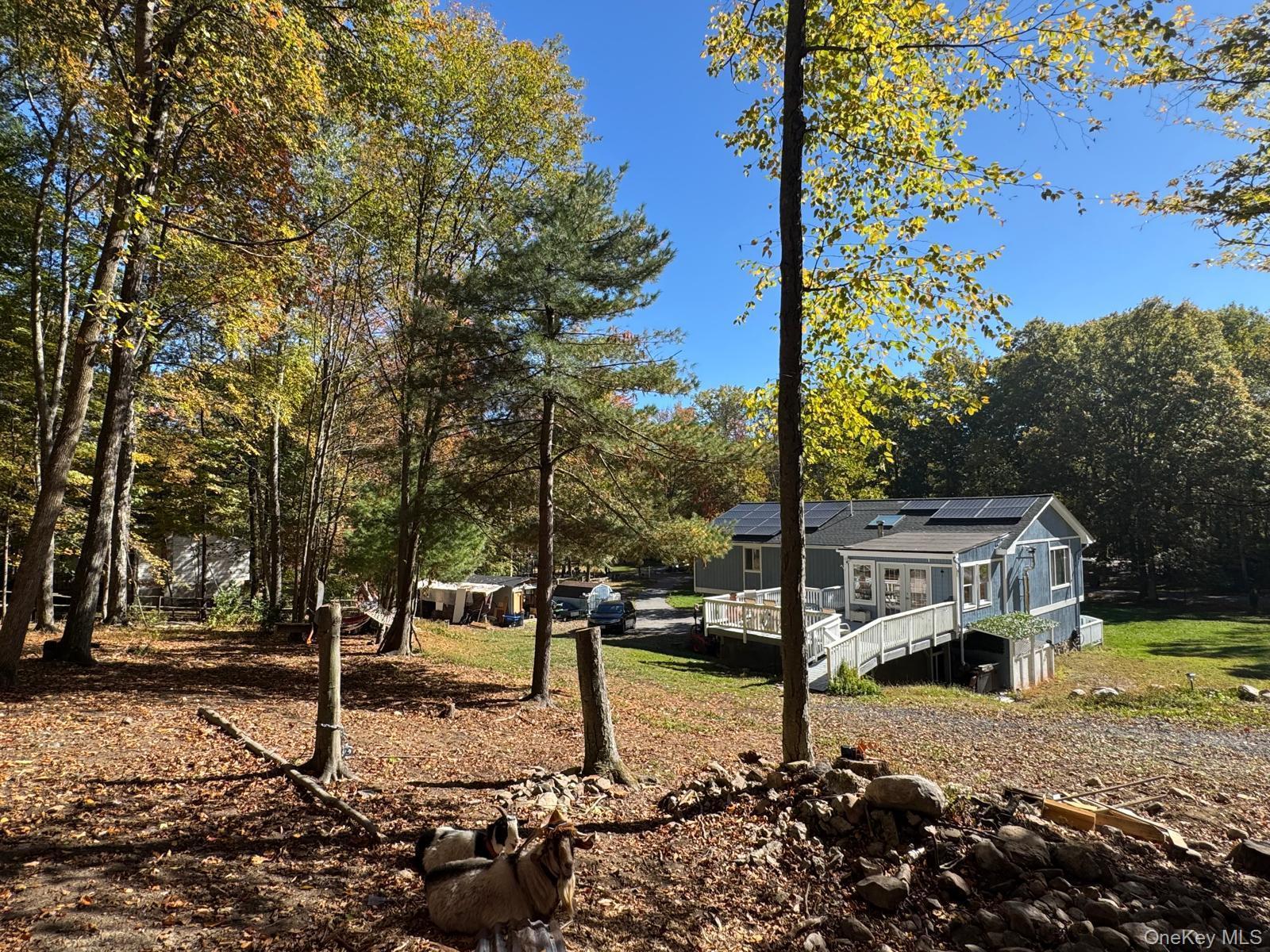 Single Family Patrick  Sullivan County, NY 12721, MLS-960365-4