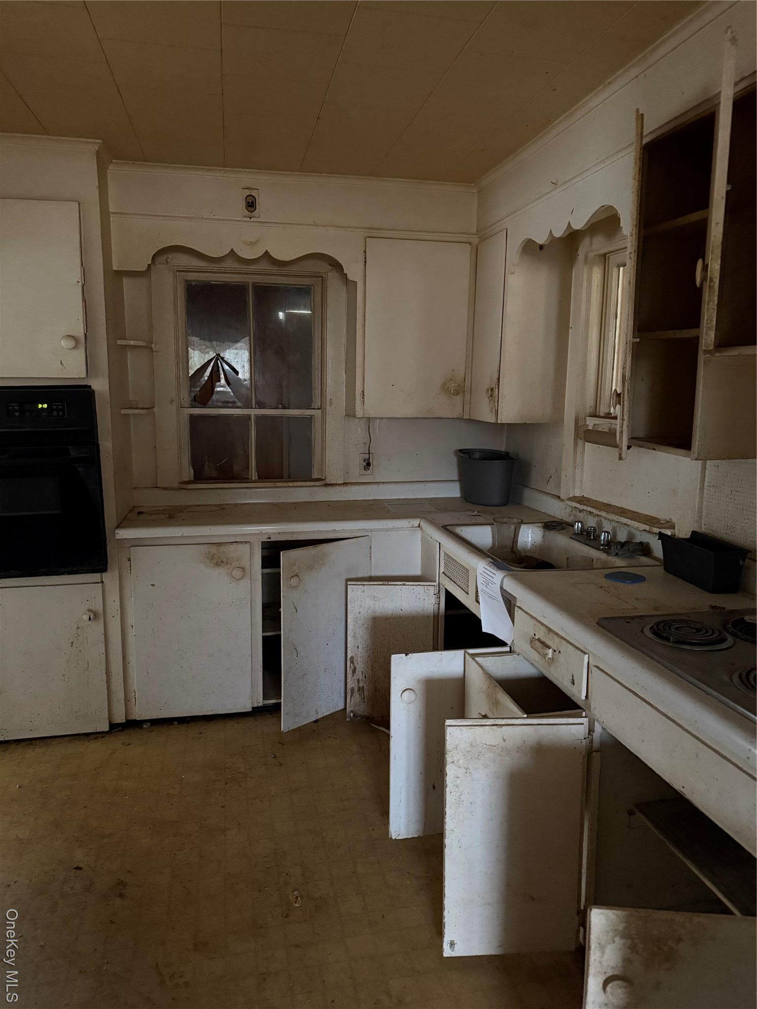 Single Family Katrina Falls  Sullivan County, NY 12775, MLS-960377-3