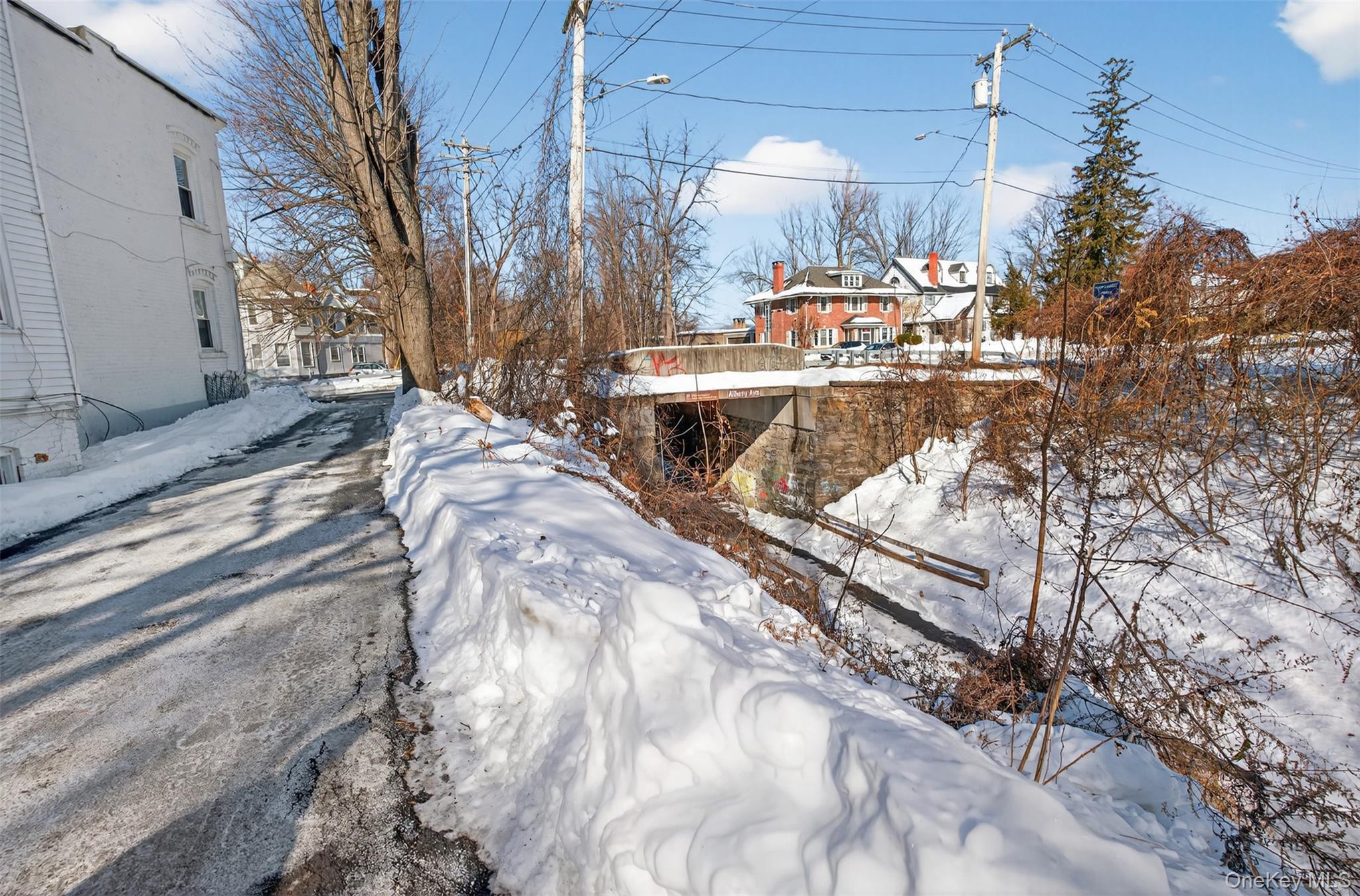 Single Family Albany  Ulster County, NY 12401, MLS-960402-25