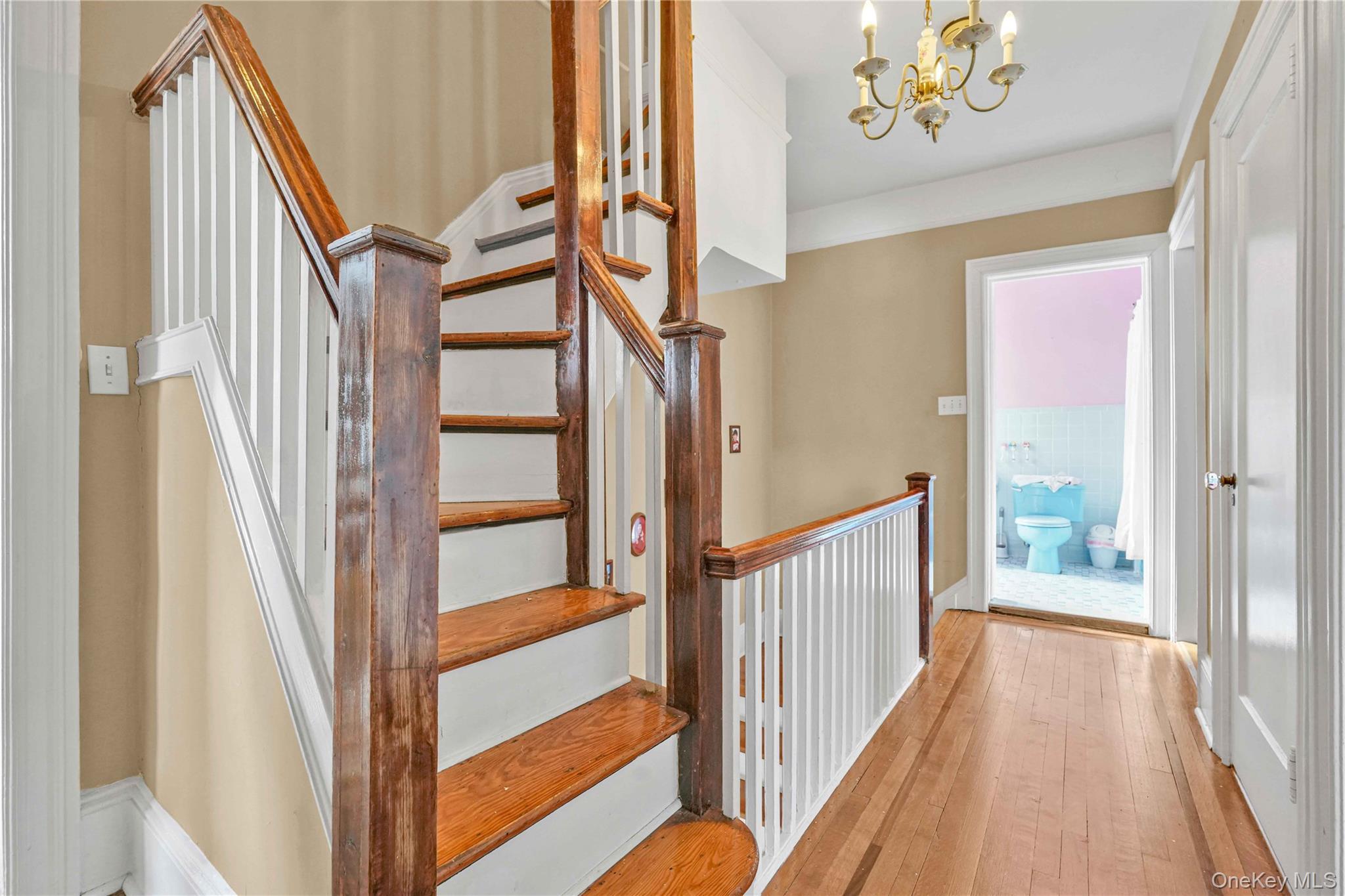 Single Family 162nd Queens, NY 11358, MLS-960442-17