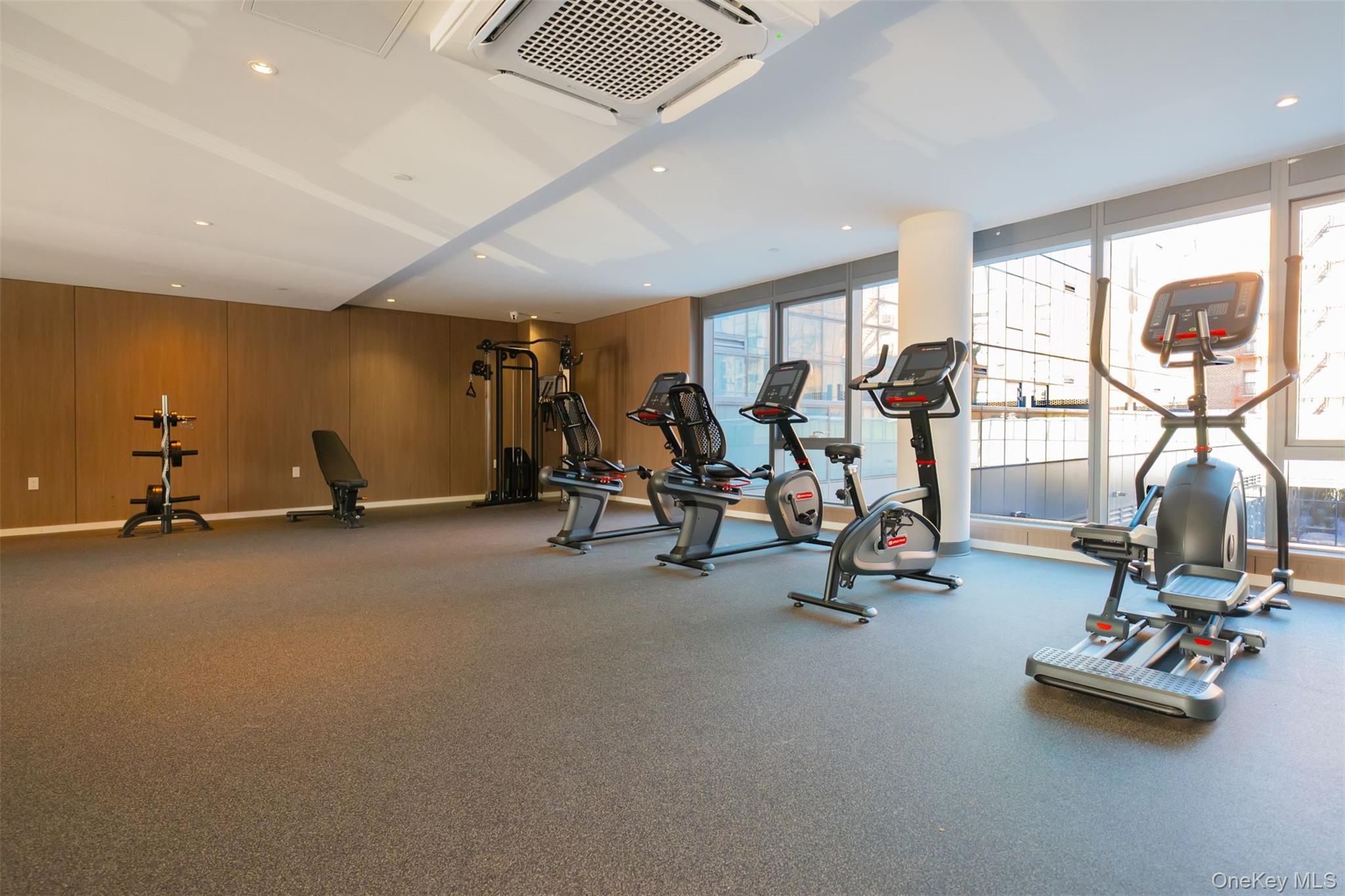 Condo Northern Blvd  Queens, NY 11354, MLS-960482-18