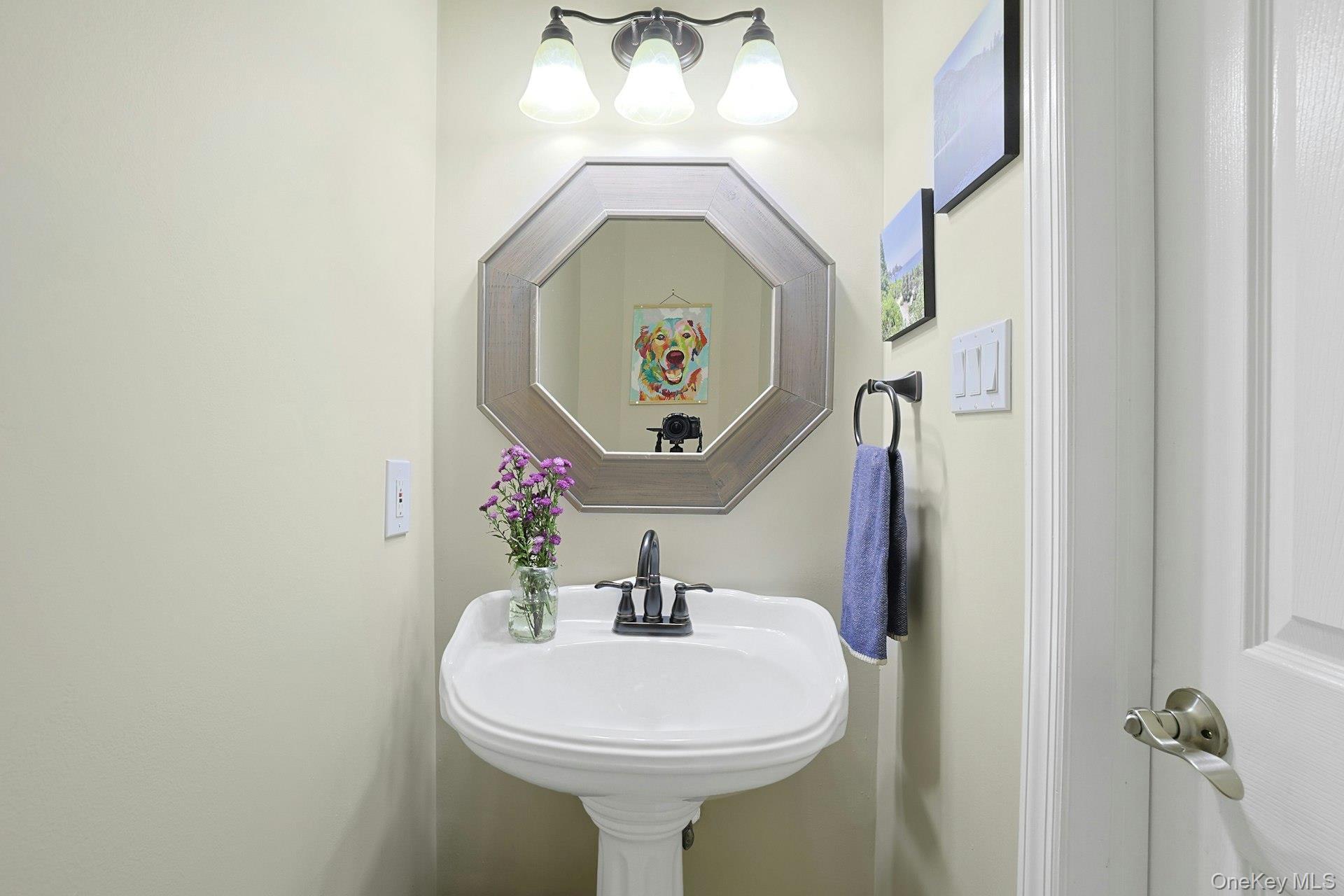 Condo Alexander  Rockland County, NY 10954, MLS-960531-13