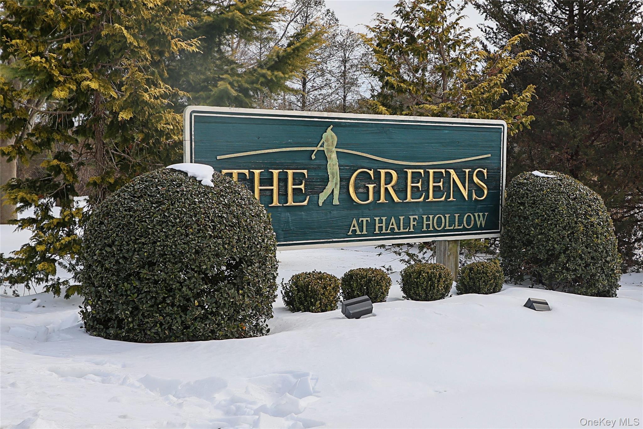 Condo Madeira  Suffolk County, NY 11747, MLS-960544-23