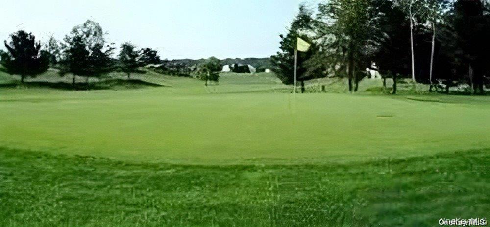 Condo Madeira  Suffolk County, NY 11747, MLS-960544-28