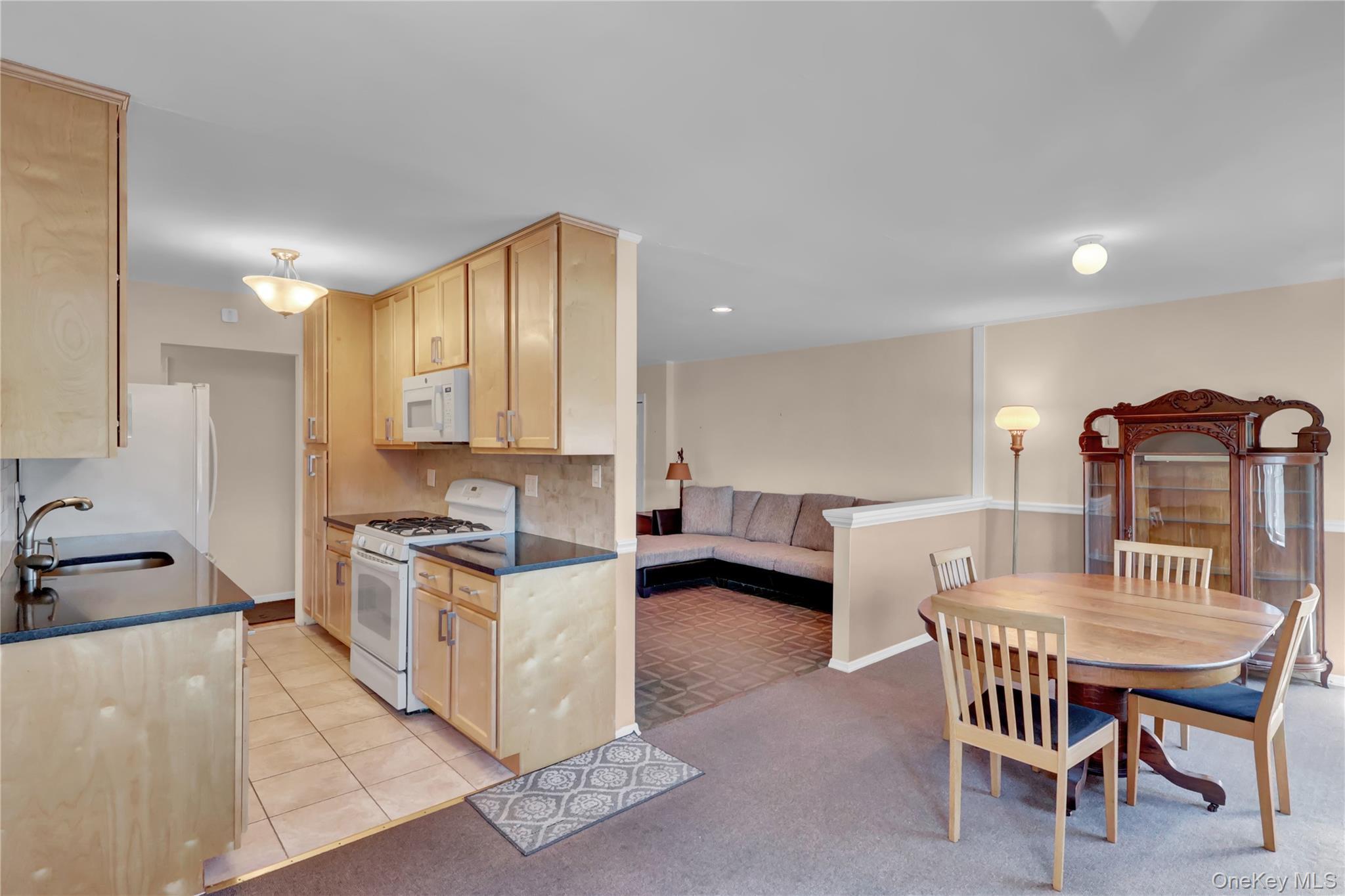 Coop Little Neck Parkway  Queens, NY 11362, MLS-960581-20