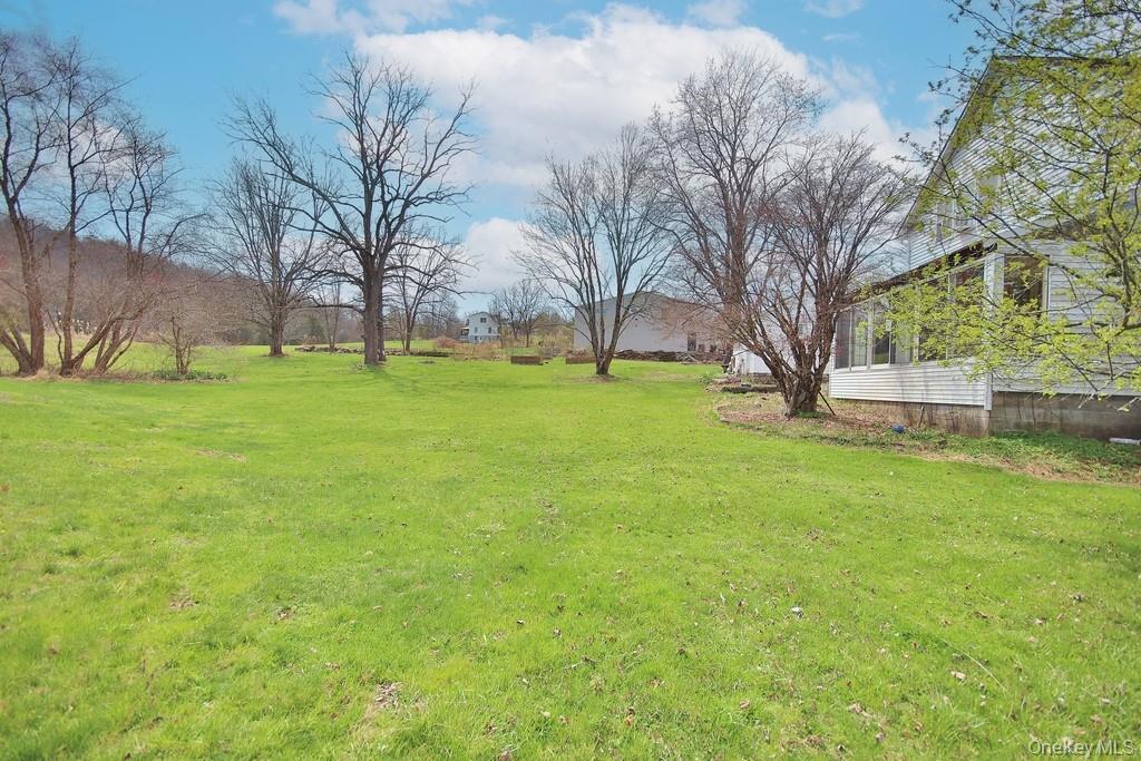 Single Family Black Meadow  Orange County, NY 10918, MLS-960665-10