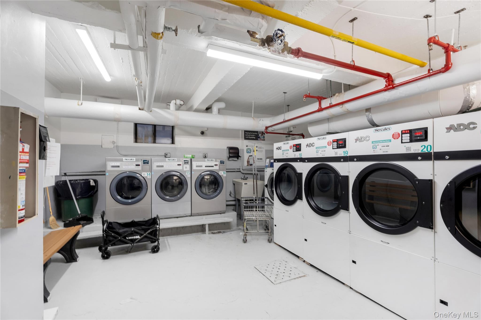 Coop Bragg Brooklyn, NY 11229, MLS-960716-8