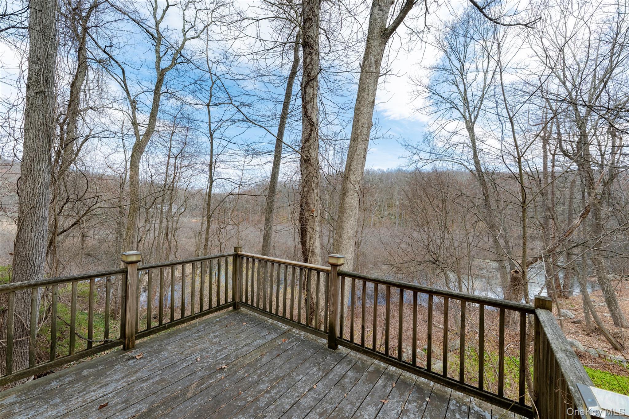 Single Family Chapman  Putnam County, NY 10524, MLS-960718-18