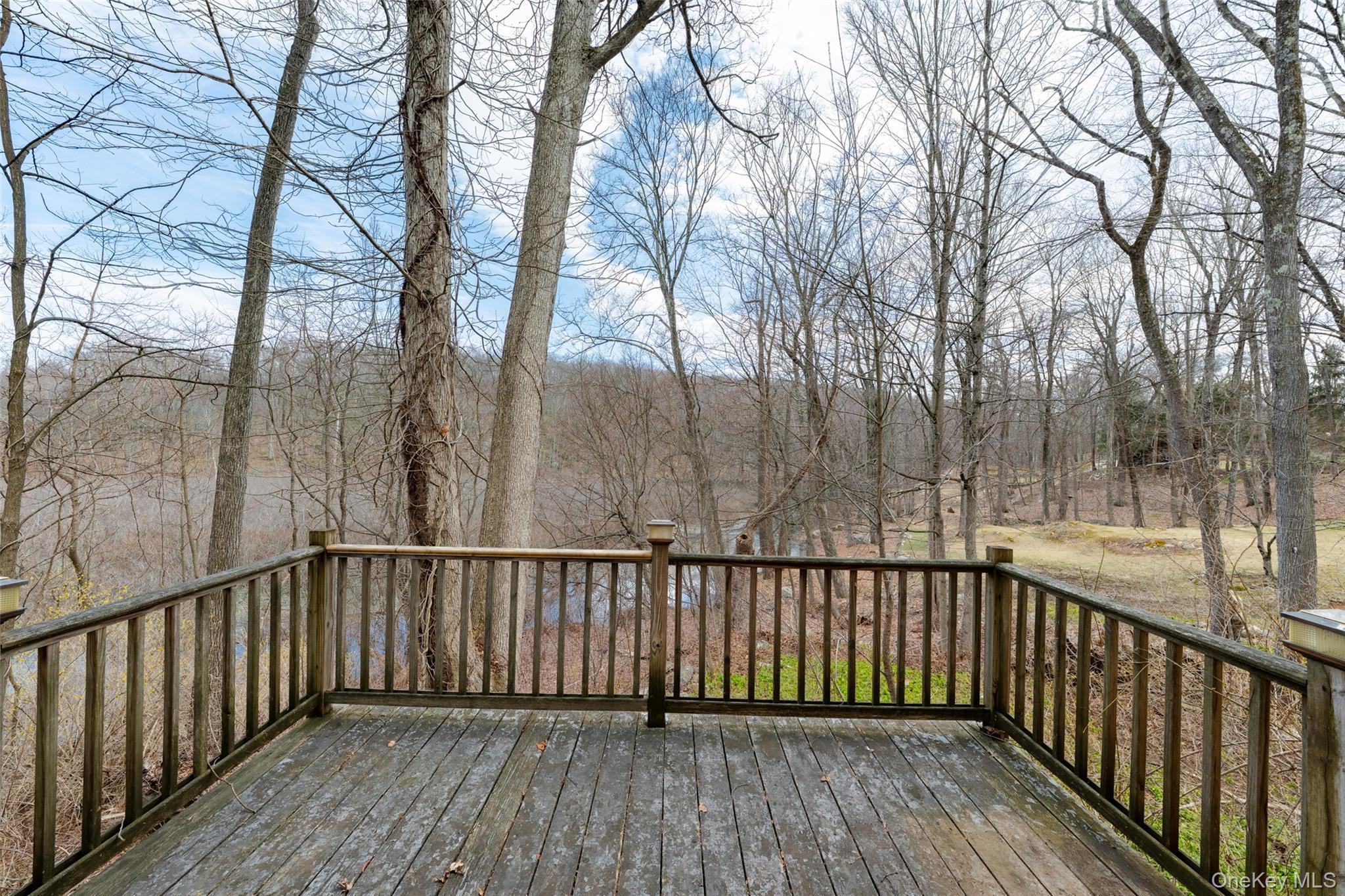 Single Family Chapman  Putnam County, NY 10524, MLS-960718-19