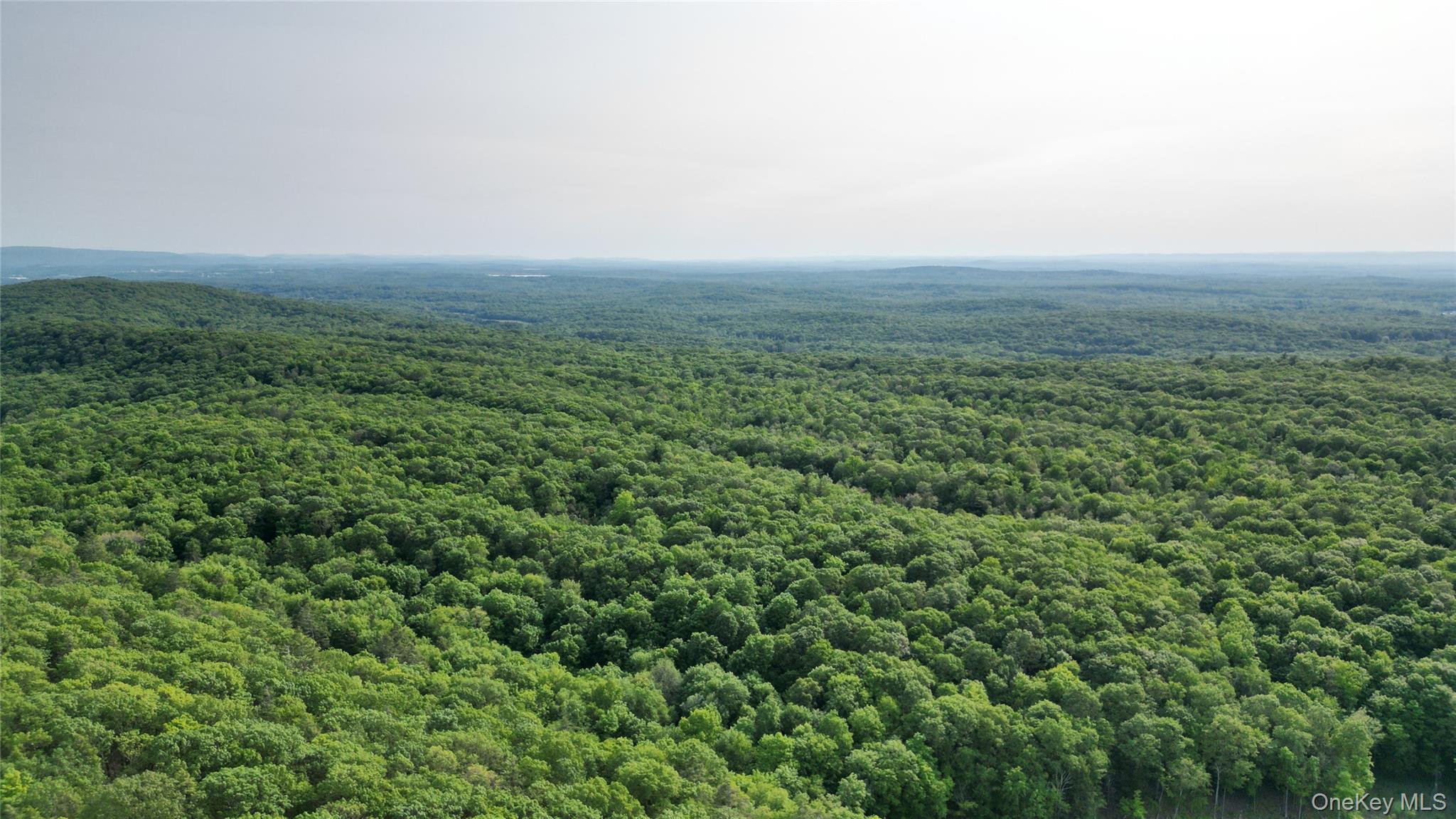 Single Family Truncali  Ulster County, NY 12542, MLS-960734-16