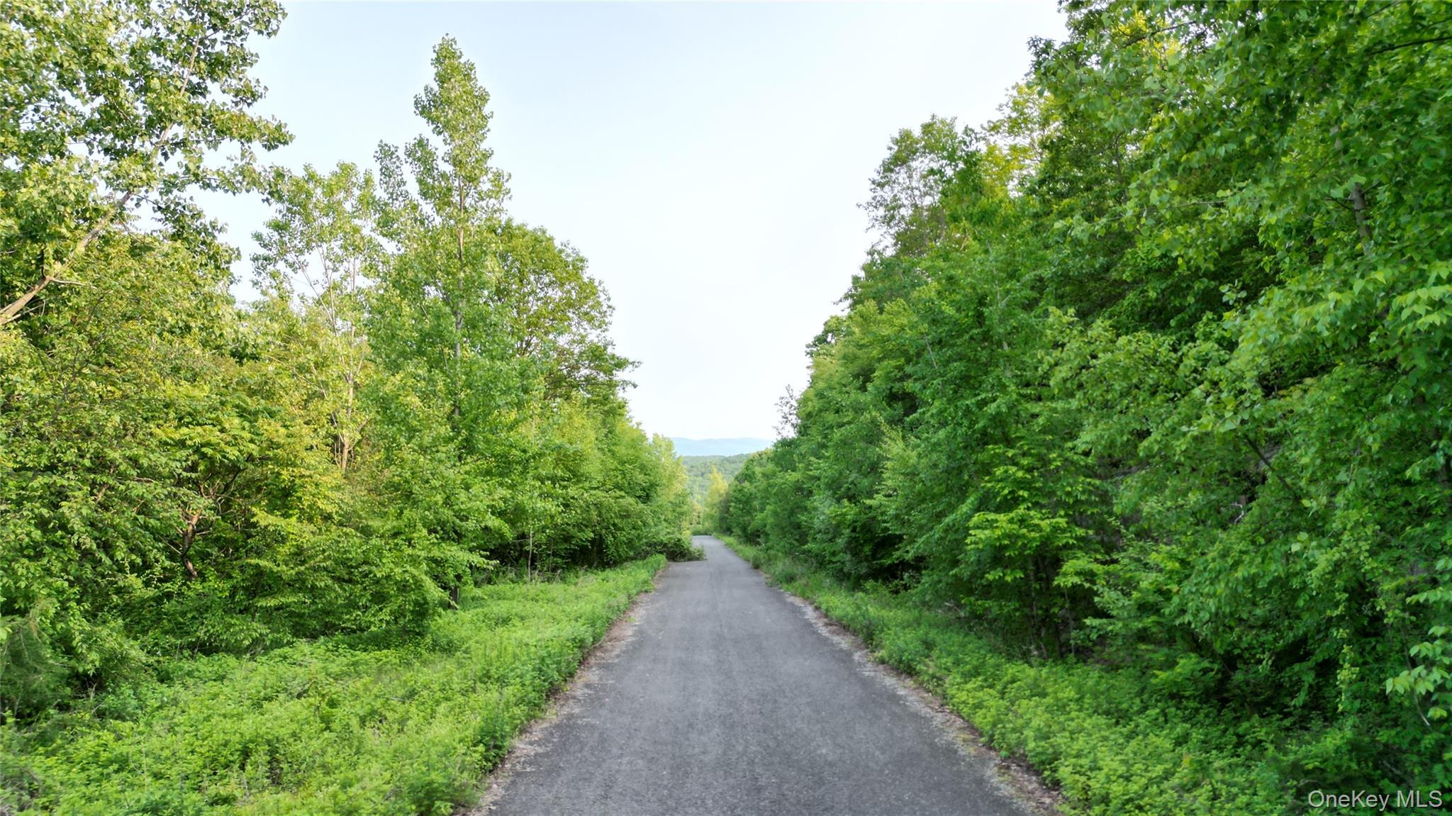 Single Family Truncali  Ulster County, NY 12542, MLS-960734-19