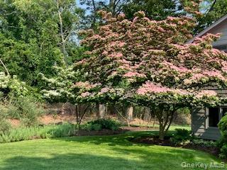Single Family Shore Drive  Suffolk County, NY 11733, MLS-960930-26