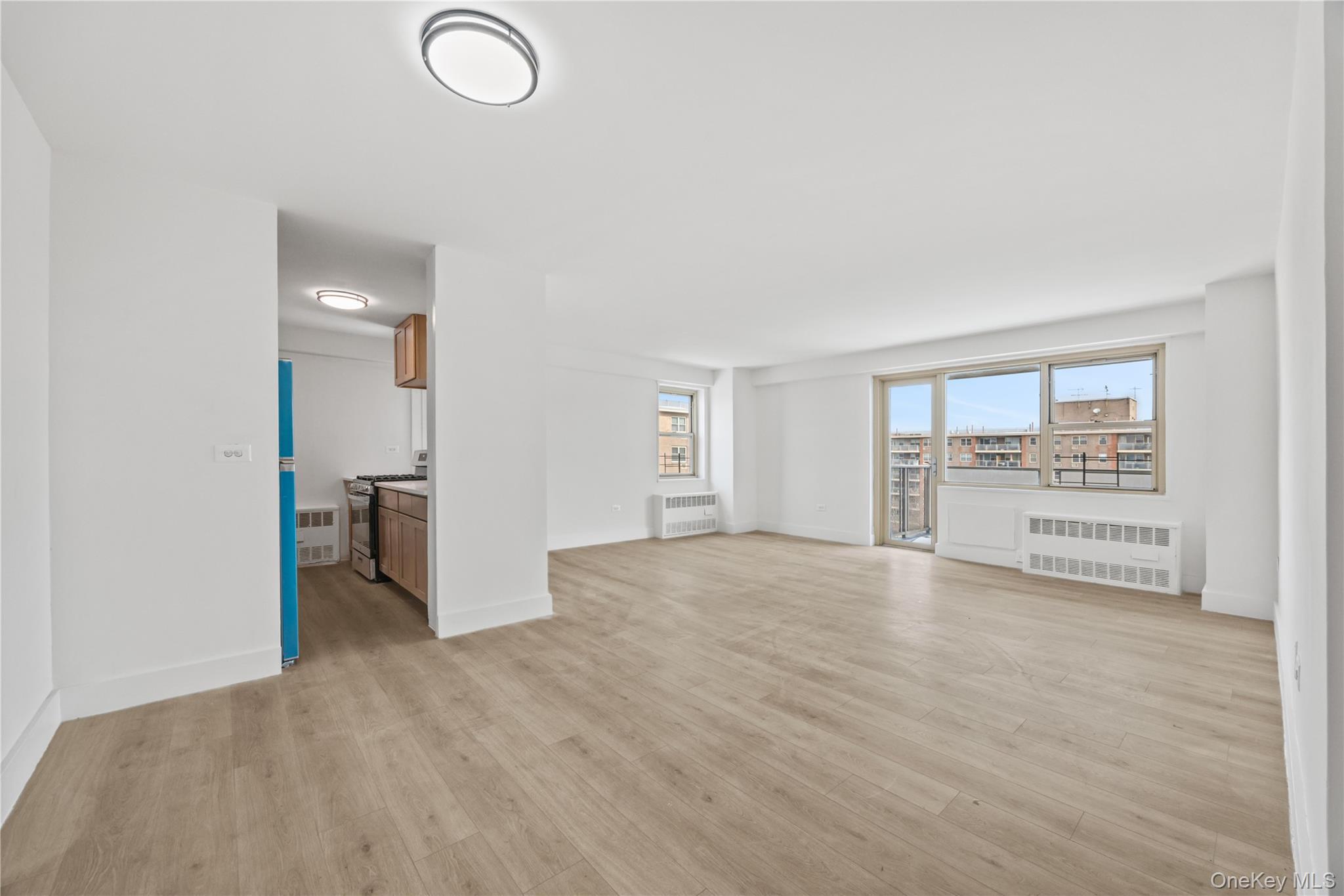 Condo Jerome  Brooklyn, NY 11207, MLS-961096-10
