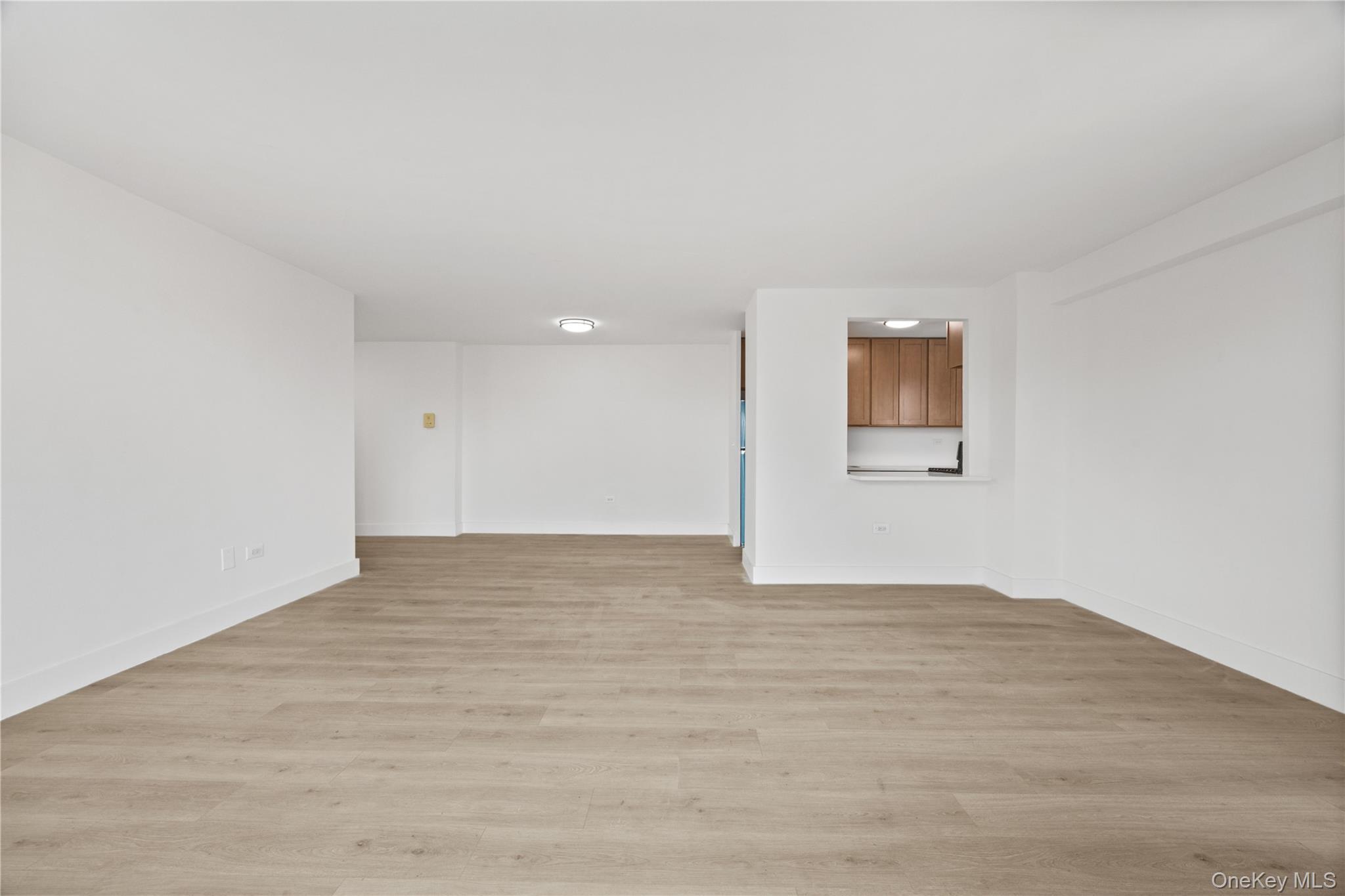 Condo Jerome  Brooklyn, NY 11207, MLS-961096-13