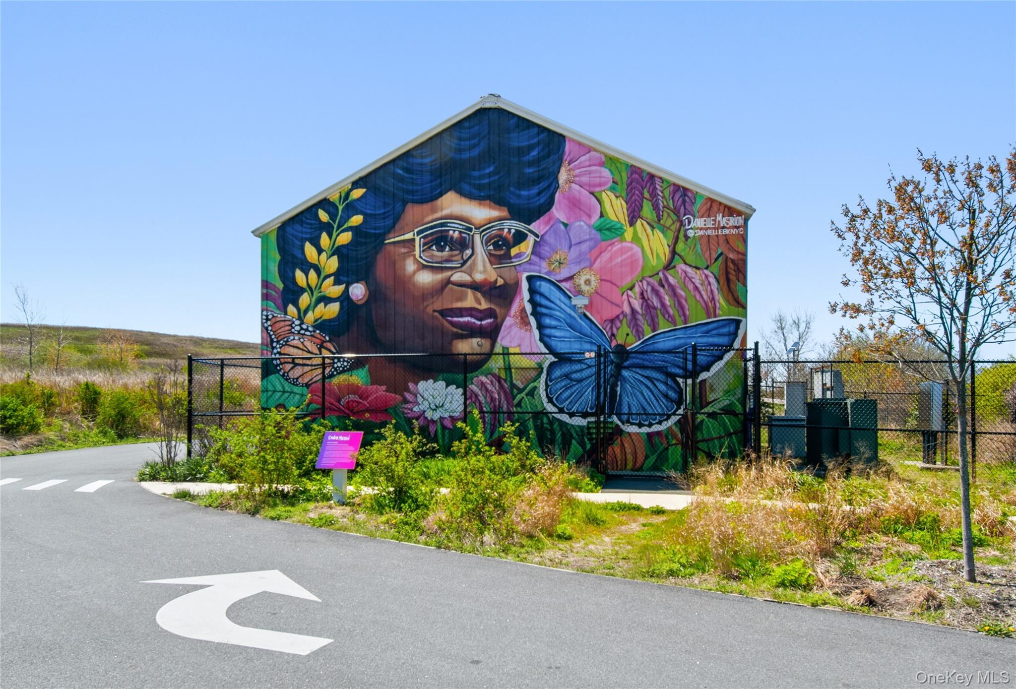 Condo Jerome  Brooklyn, NY 11207, MLS-961096-31