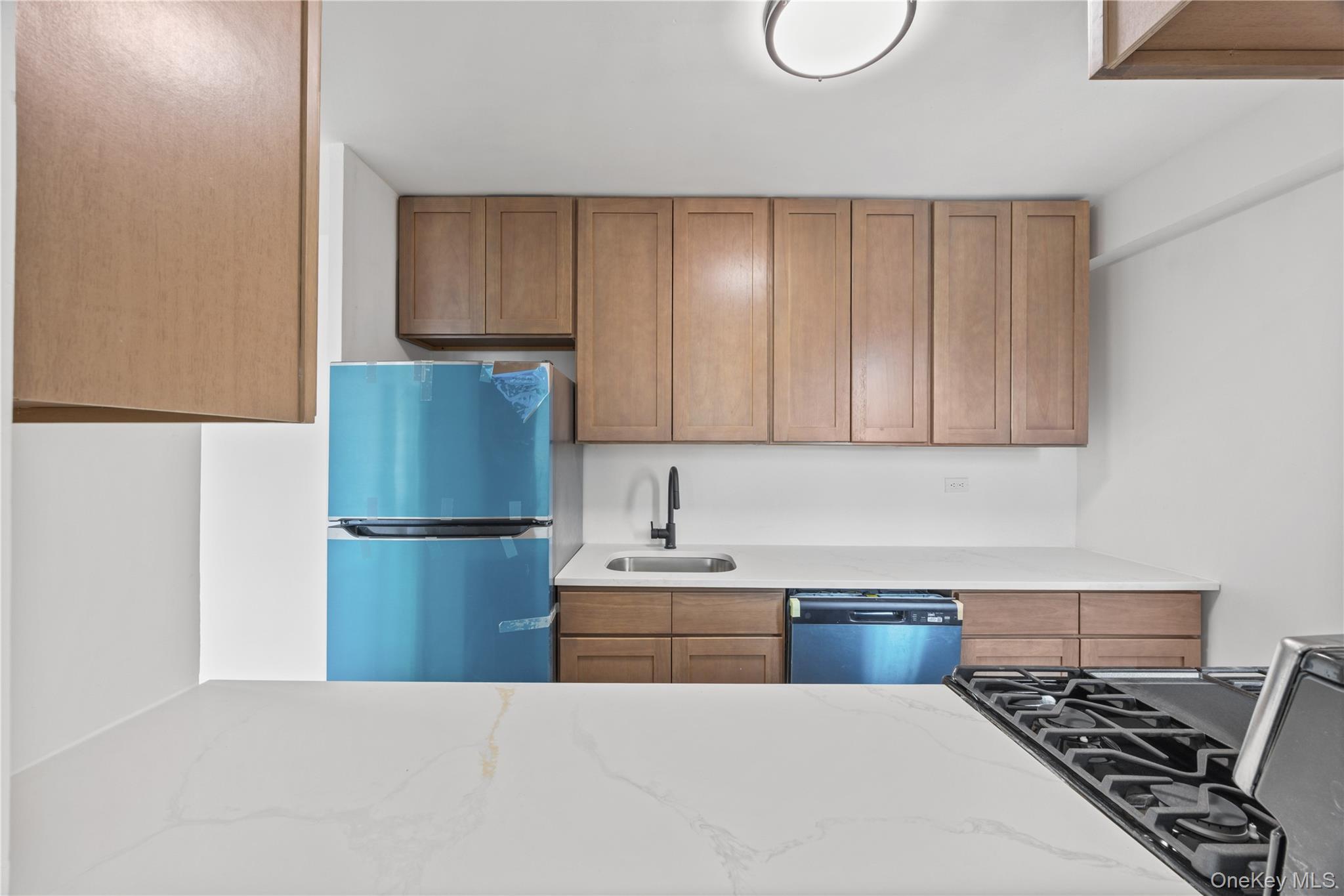 Condo Jerome  Brooklyn, NY 11207, MLS-961096-8