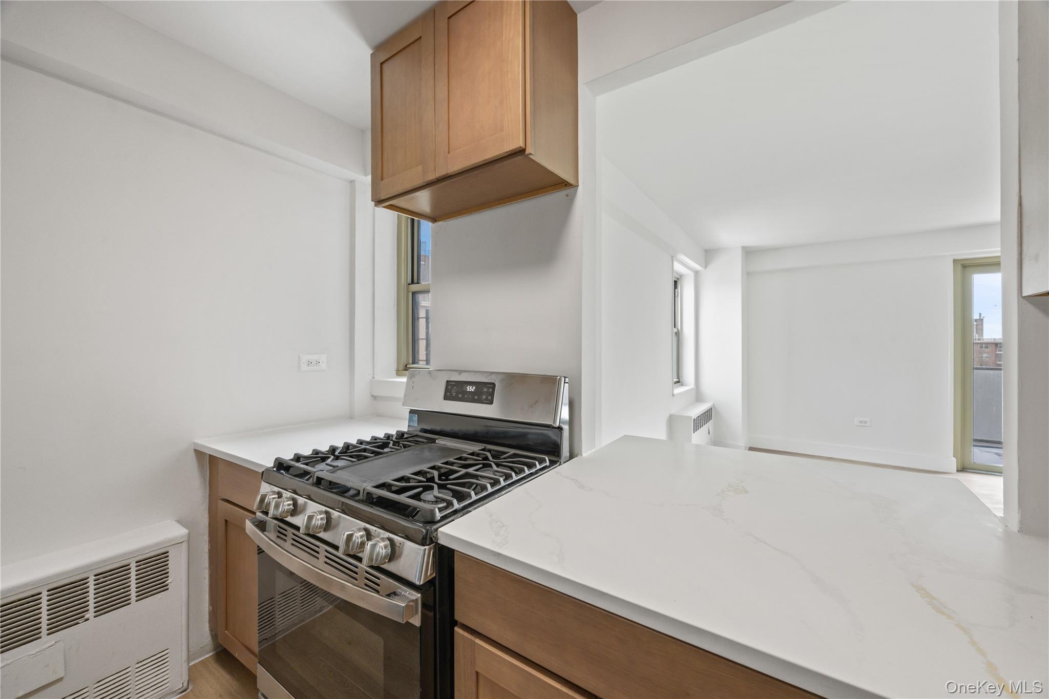 Condo Jerome  Brooklyn, NY 11207, MLS-961096-9