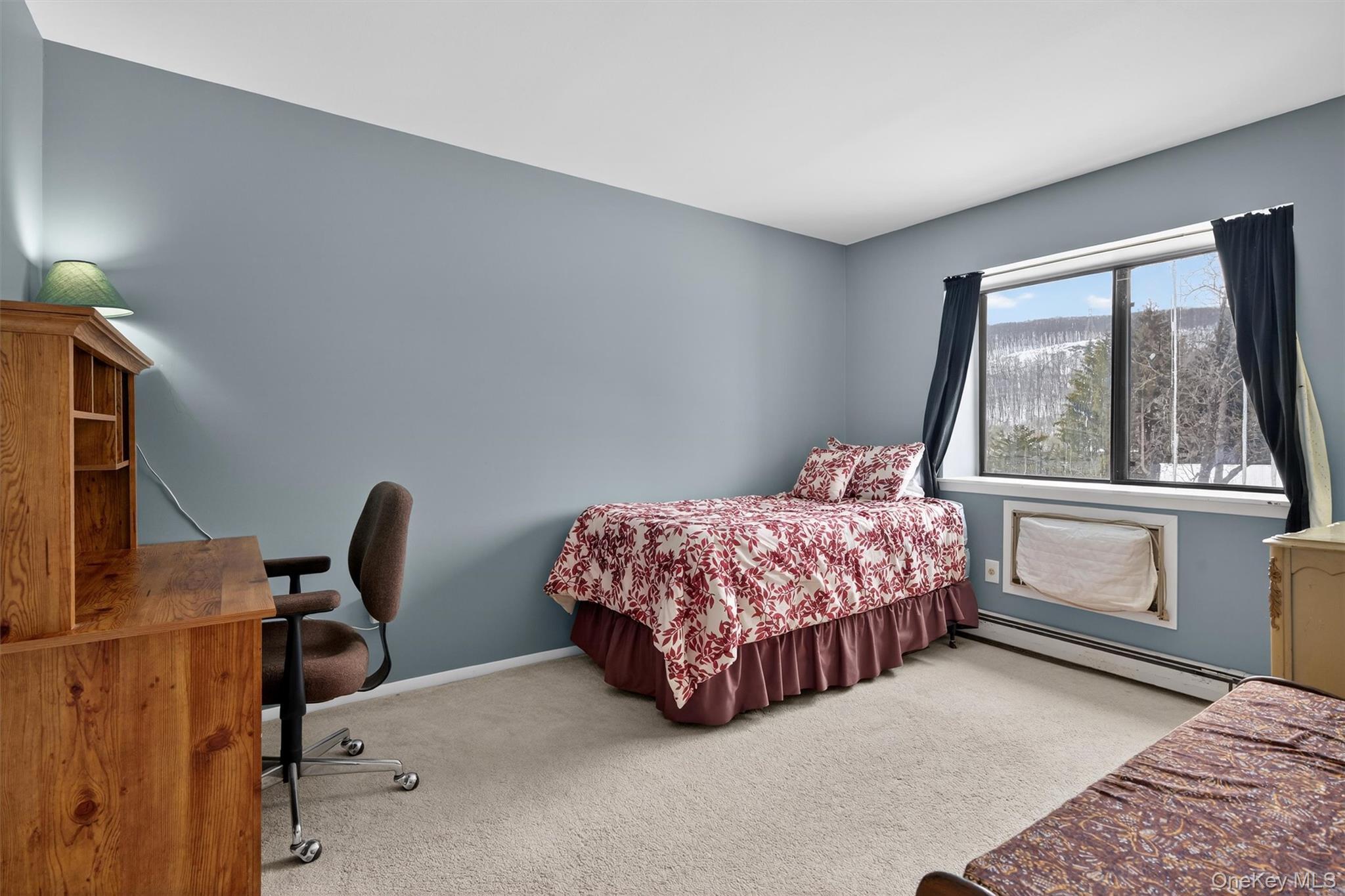 Single Family Mountain Laurel Orange County, NY 10950, MLS-961136-24