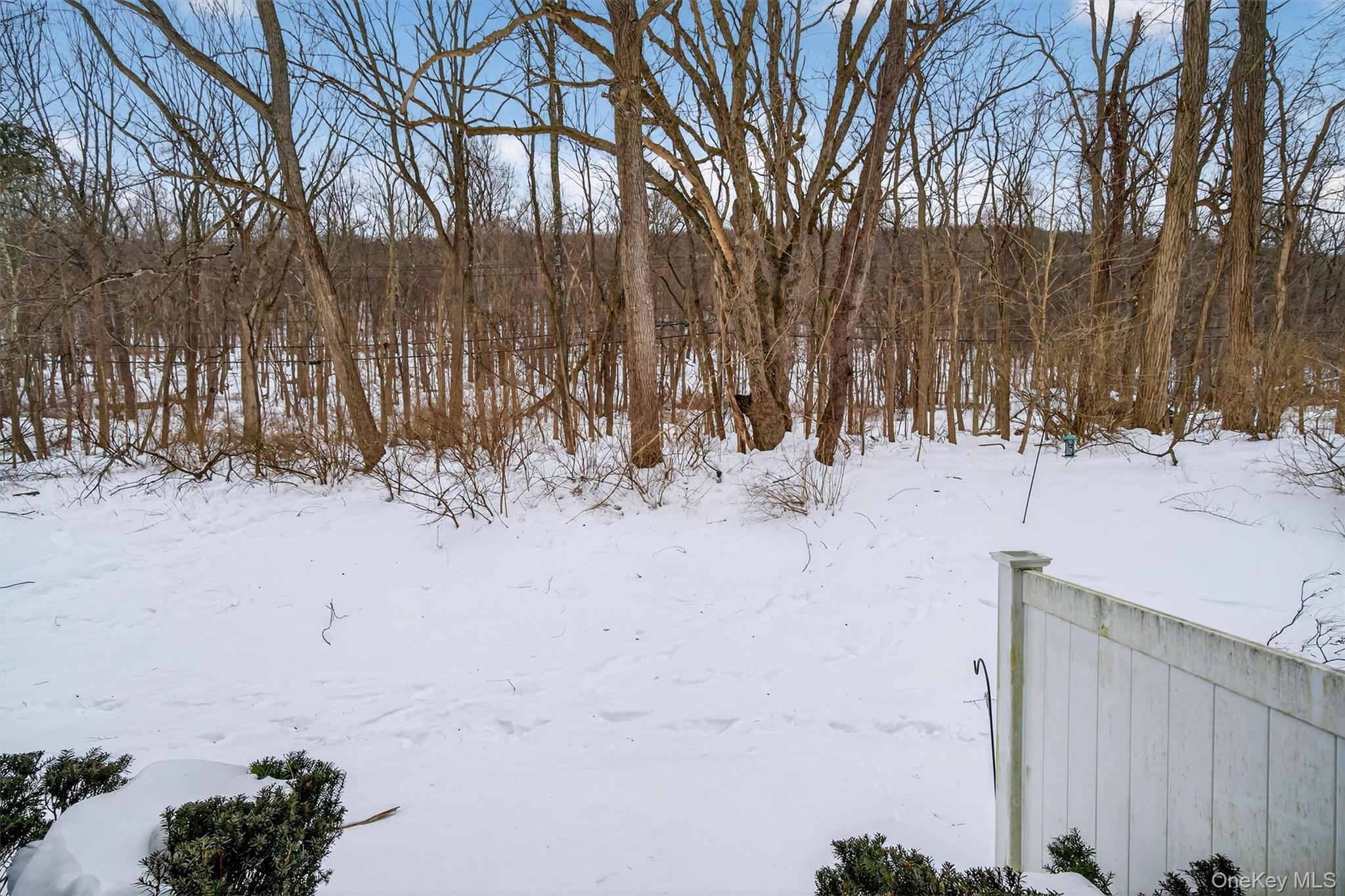 Single Family Mountain Laurel Orange County, NY 10950, MLS-961136-29