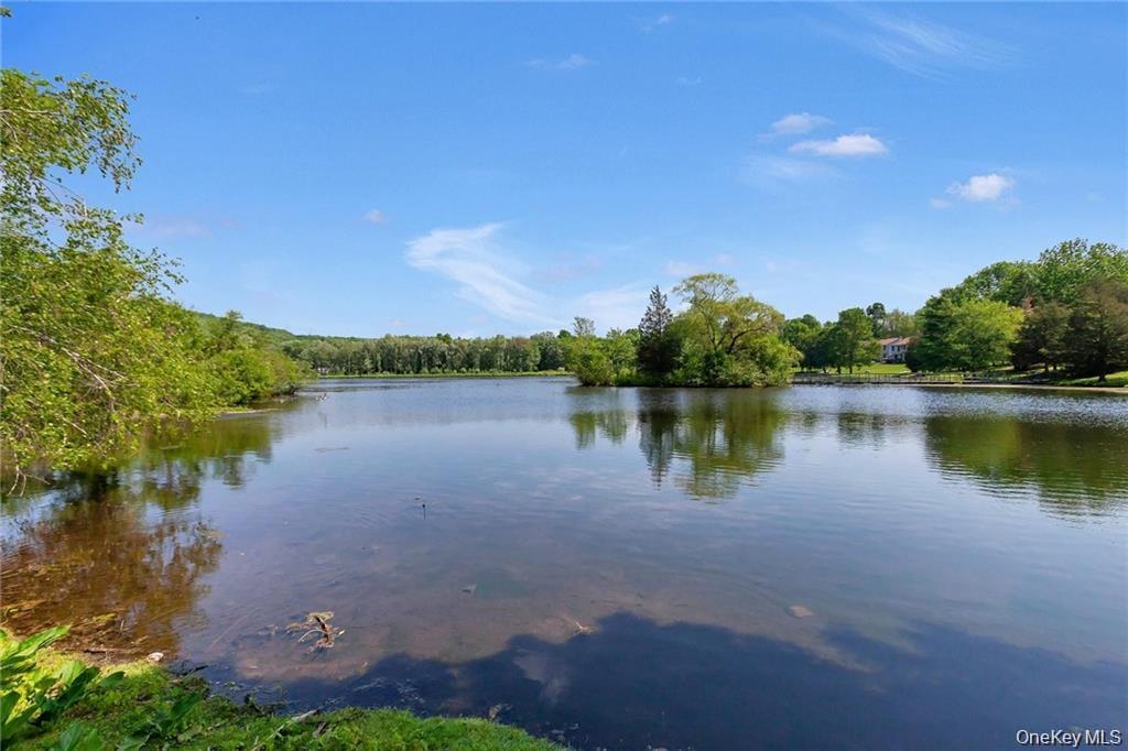 Single Family Mountain Laurel Orange County, NY 10950, MLS-961136-33