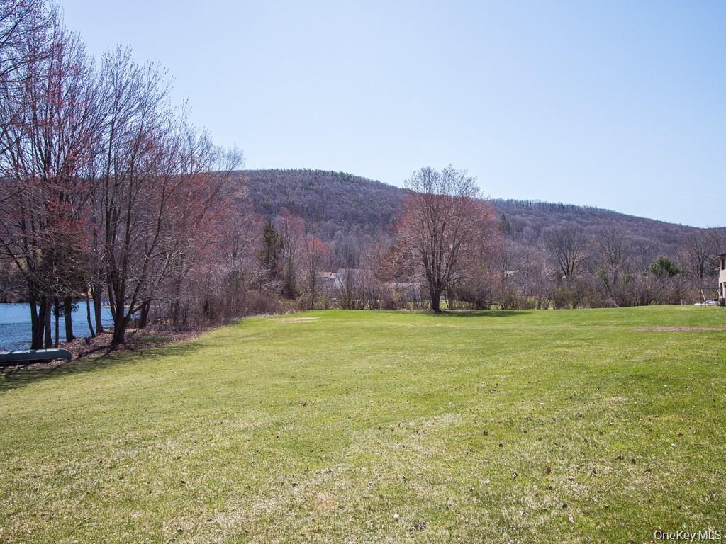 Single Family Mountain Laurel Orange County, NY 10950, MLS-961136-37