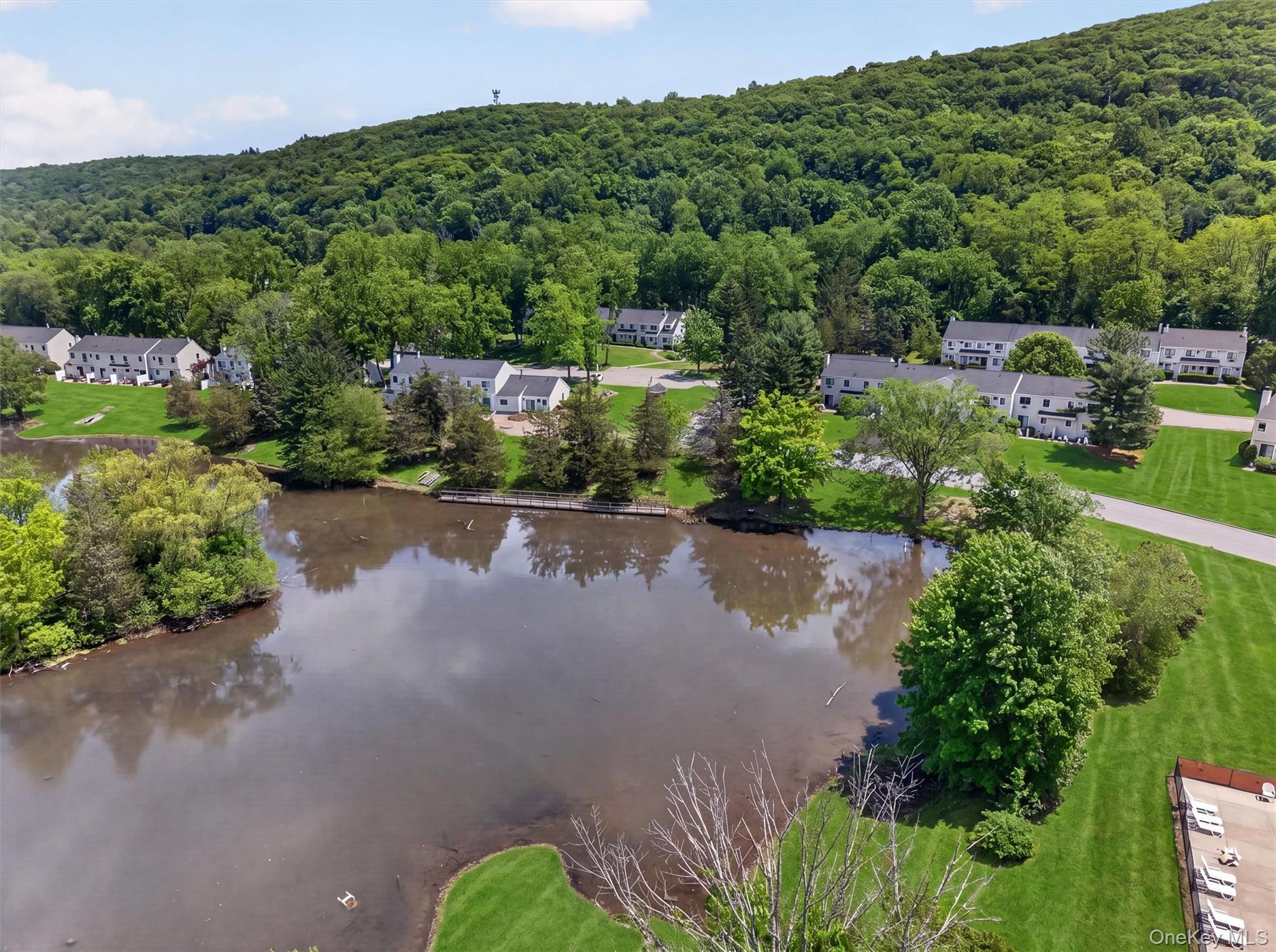 Single Family Mountain Laurel Drive  Orange County, NY 10950, MLS-961136-42