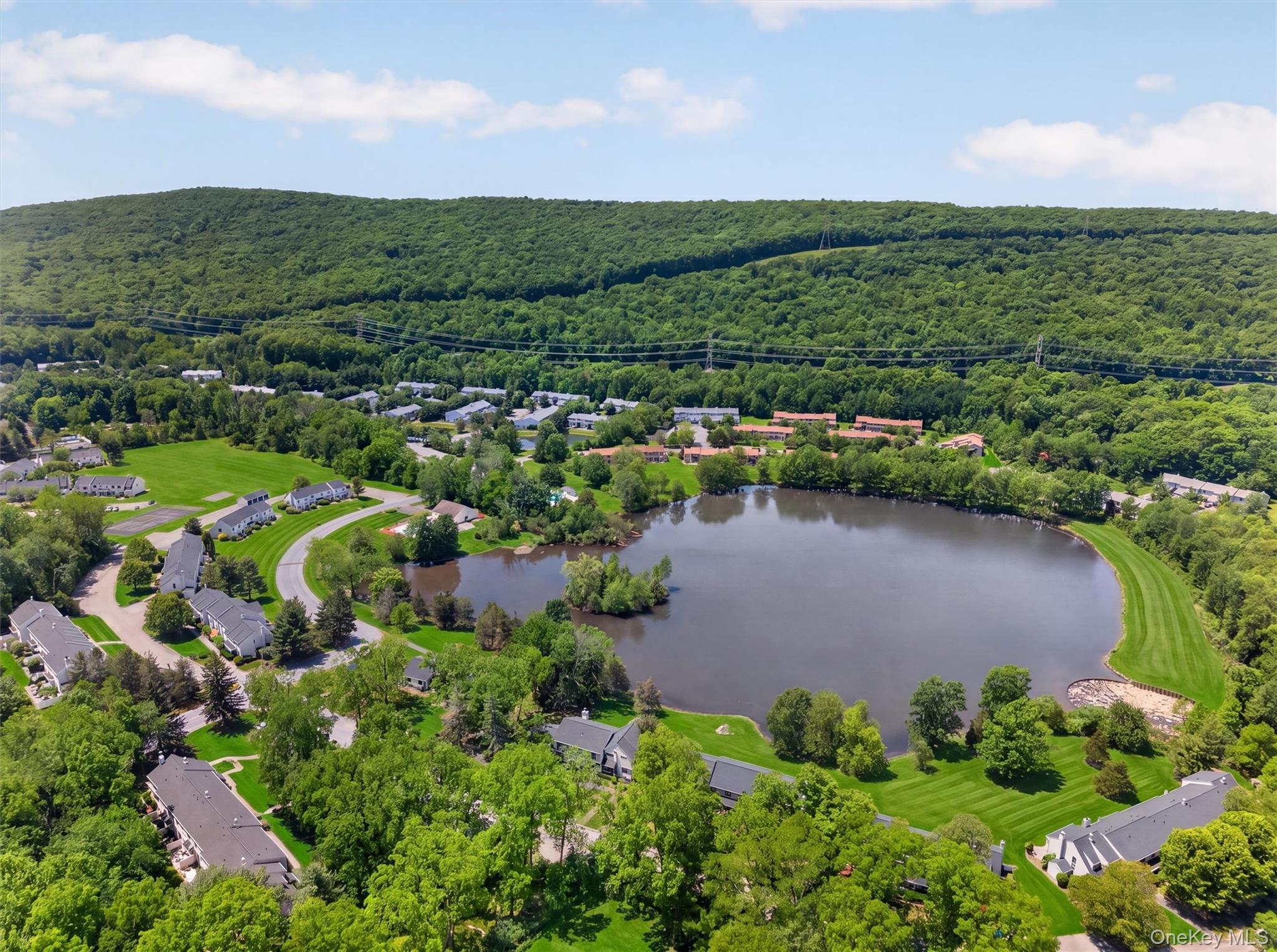 Single Family Mountain Laurel Drive  Orange County, NY 10950, MLS-961136-46