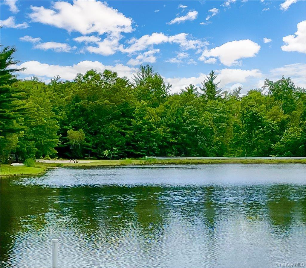 Single Family Meghan Court Sullivan County, NY 12566, MLS-961139-3