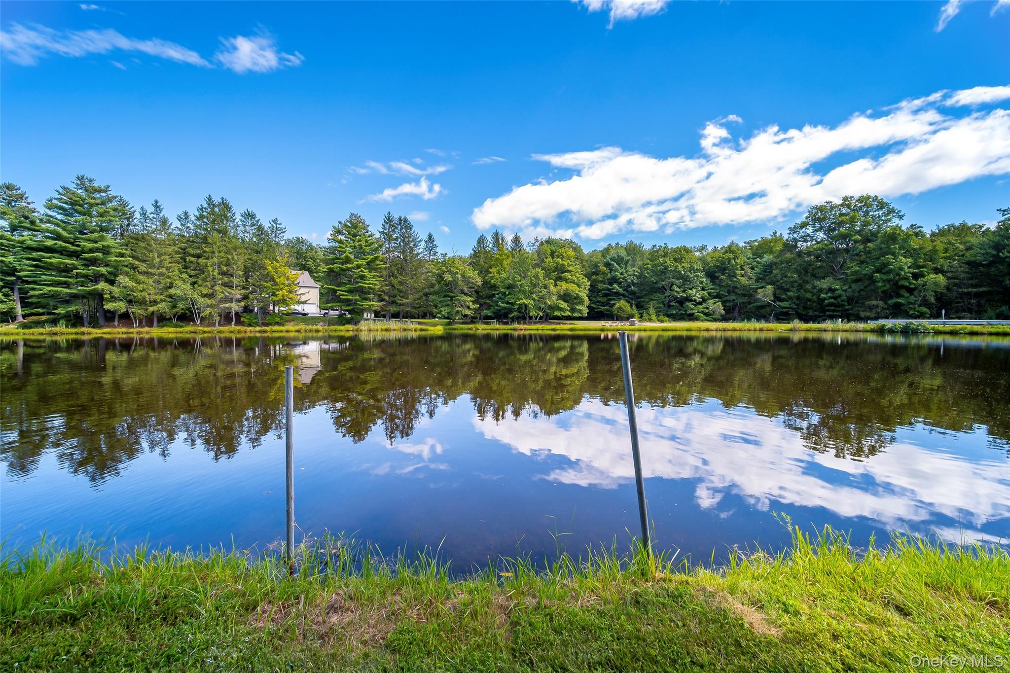 Single Family Meghan Court Sullivan County, NY 12566, MLS-961139-39