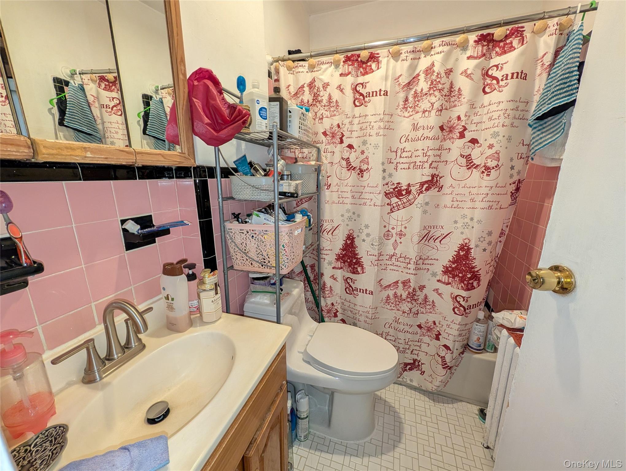 Single Family 76th  Queens, NY 11421, MLS-961201-16