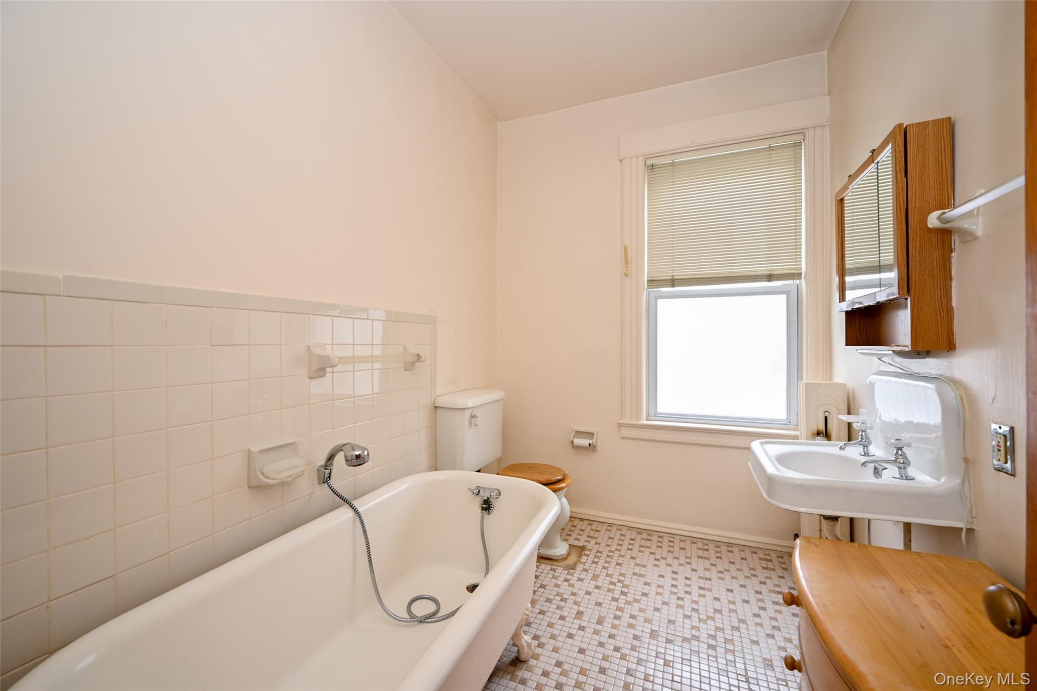 Single Family 162nd  Queens, NY 11358, MLS-961223-12