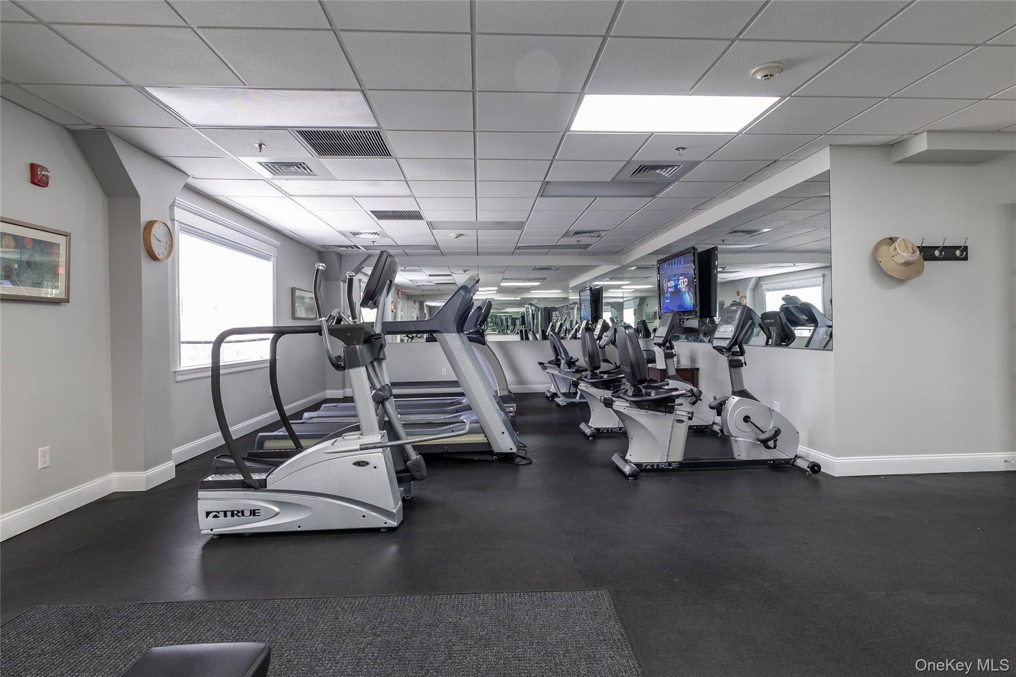 Condo Willow  Nassau County, NY 11580, MLS-961250-23