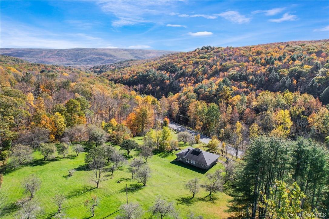 Single Family Route 52 Ulster County, NY 12428, MLS-961261-8