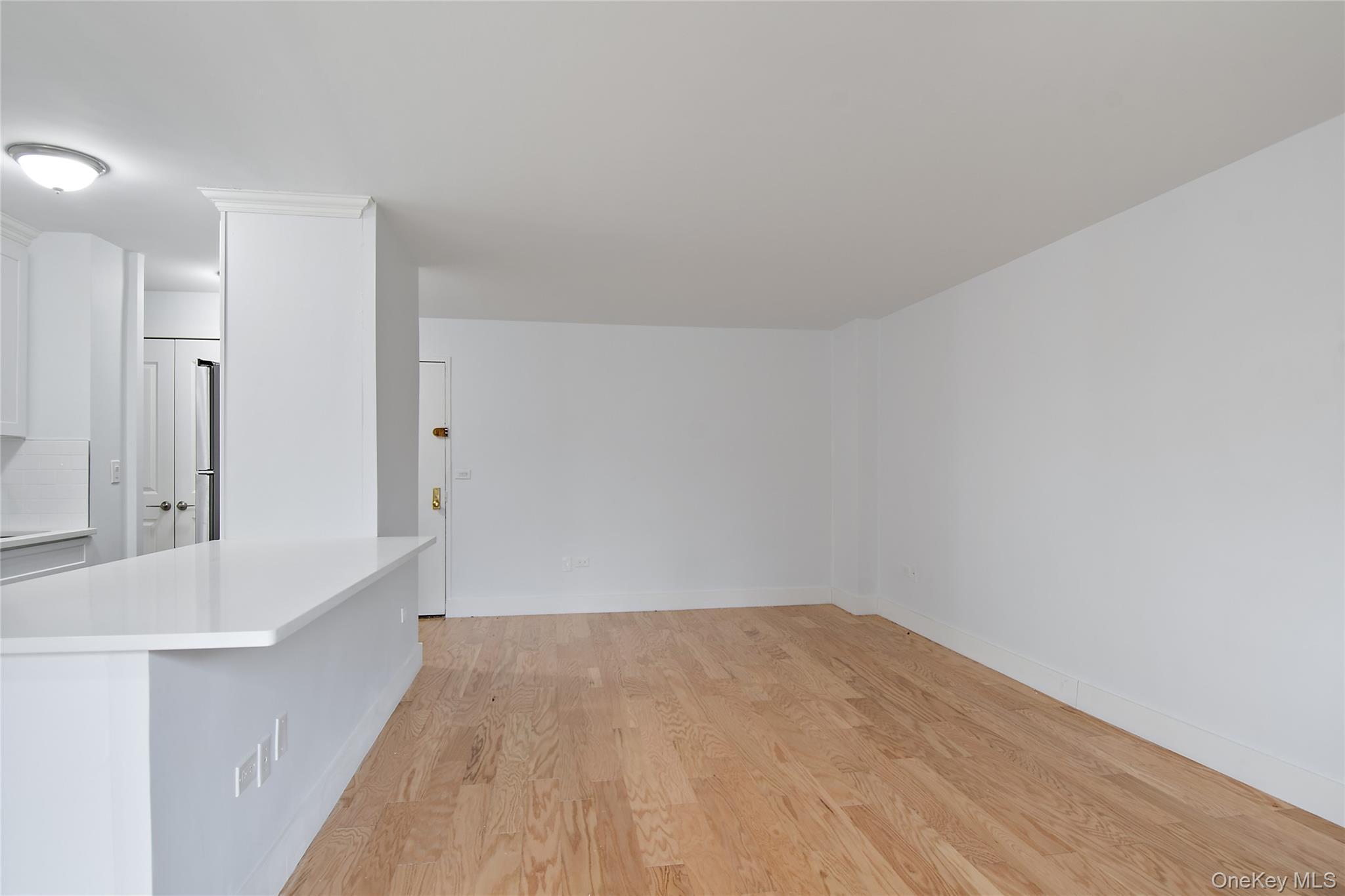 Condo Flatlands Brooklyn, NY 11207, MLS-961289-11